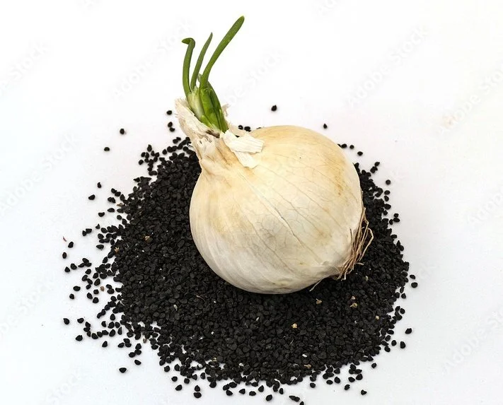 Beginner Onion Guide