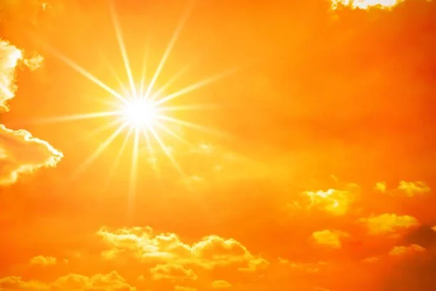 Why I'm Mulching Everything Before This Week's Heat Wave