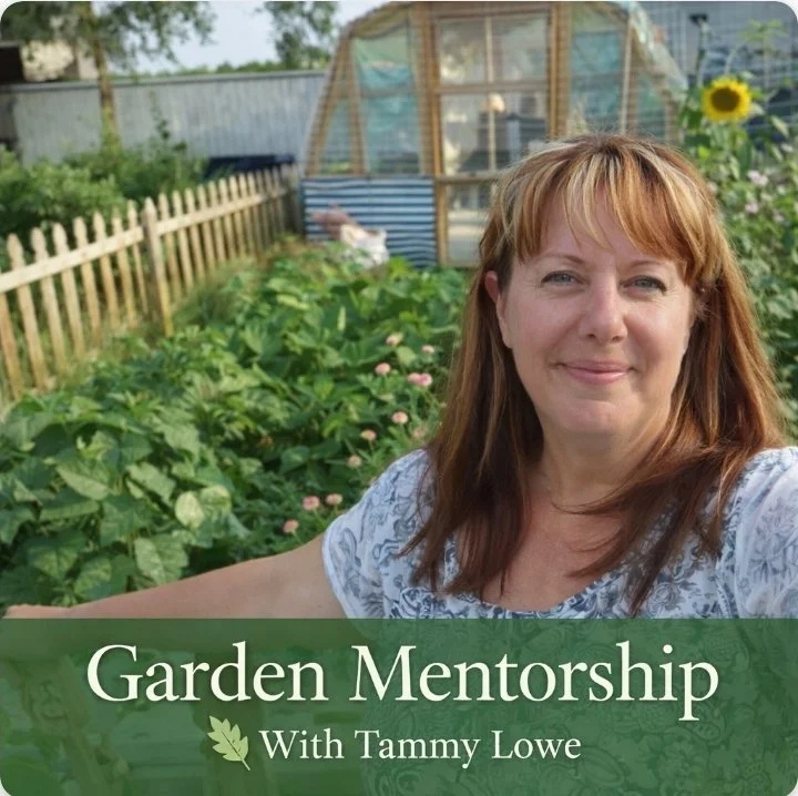 Garden Mentoring