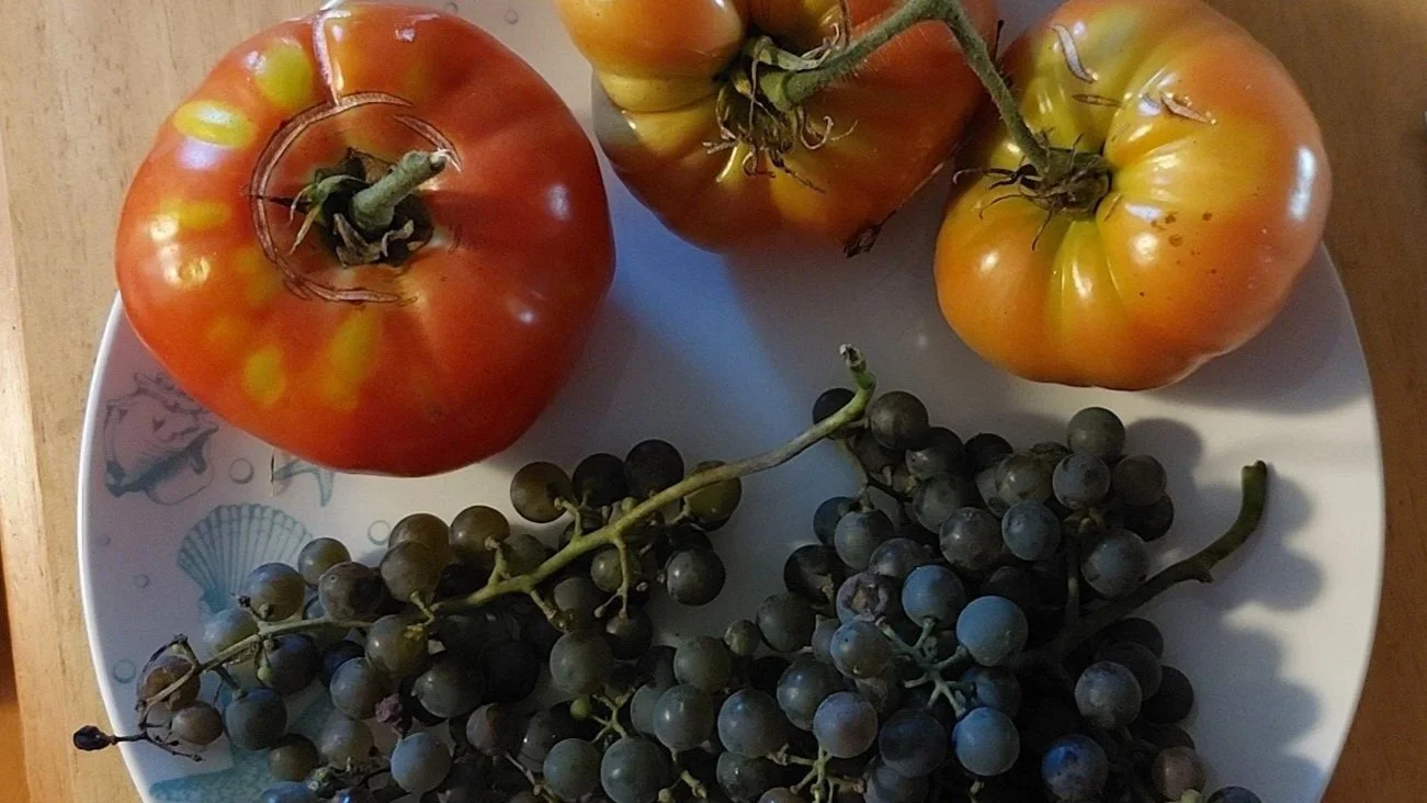 Is Your Garden Done - or Are YOU Just Done?