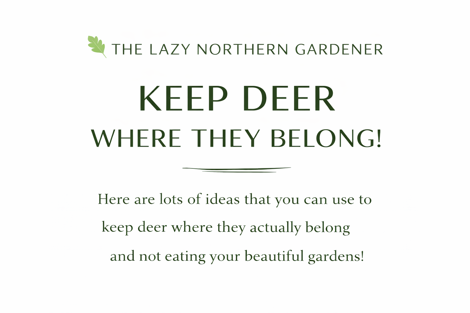 Keep Deer Where They Belong!