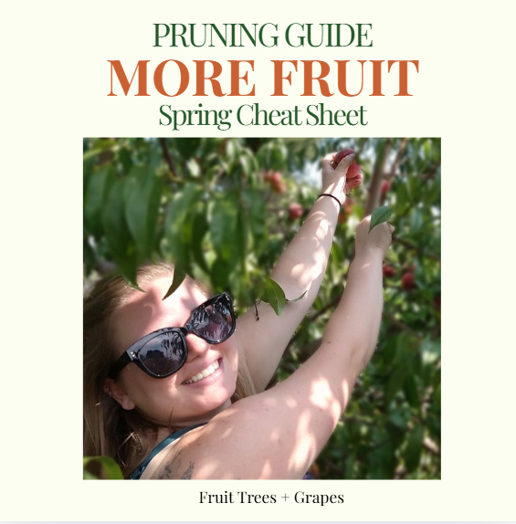 Screenshot 2026-04-06 120333.png