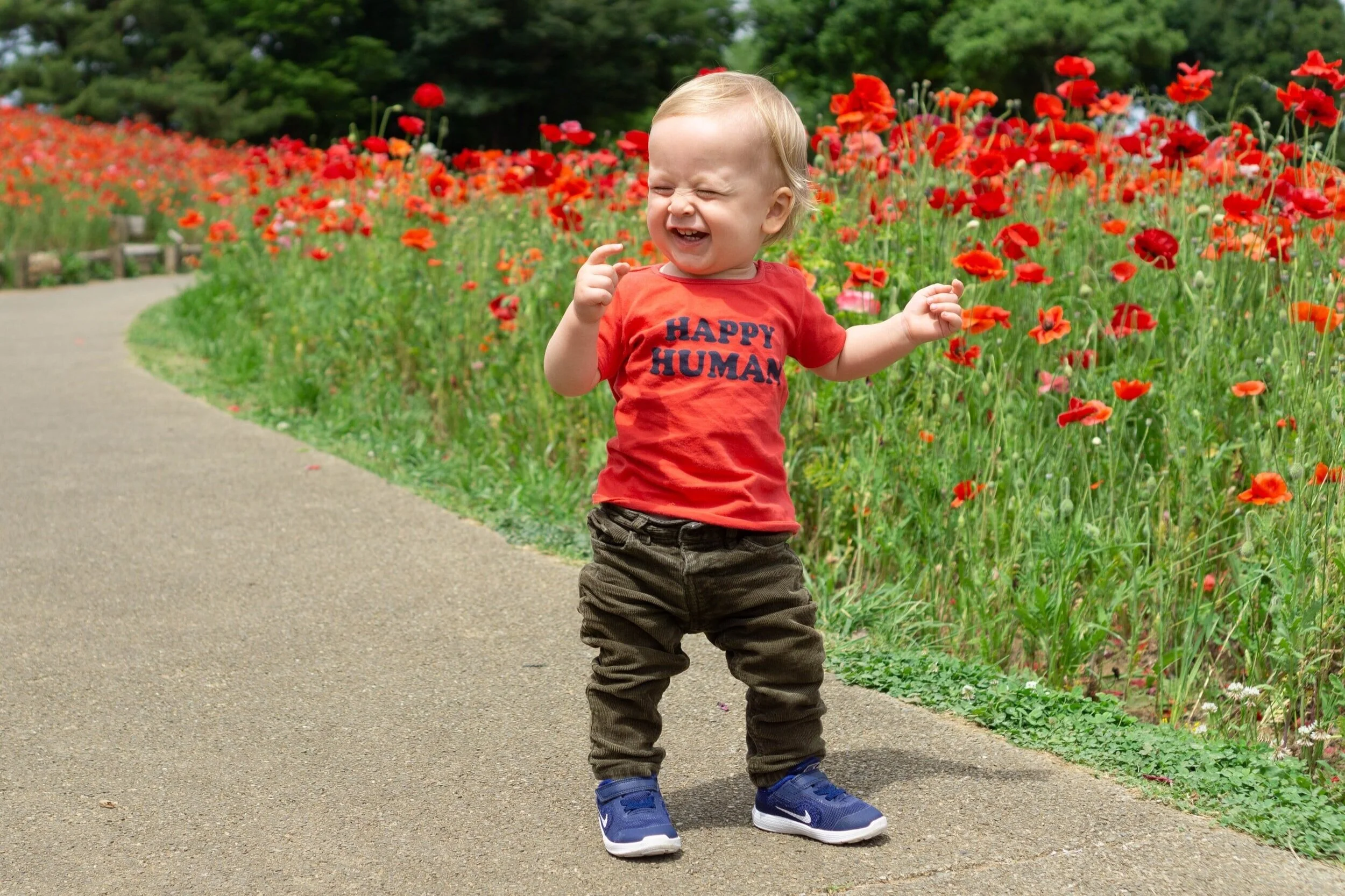 Our Services — Lambs & Ivy Childcare