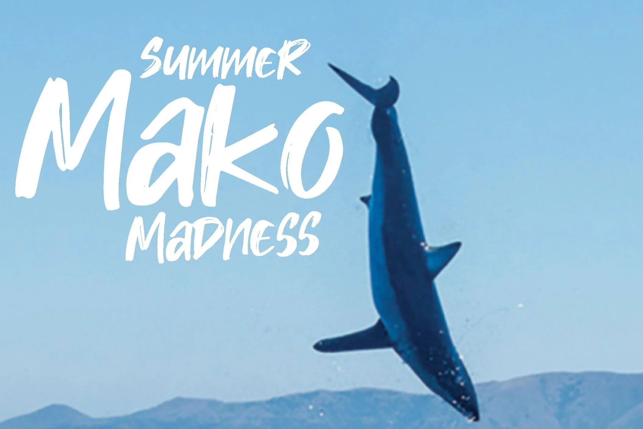 MAKO MADNESS San Diego