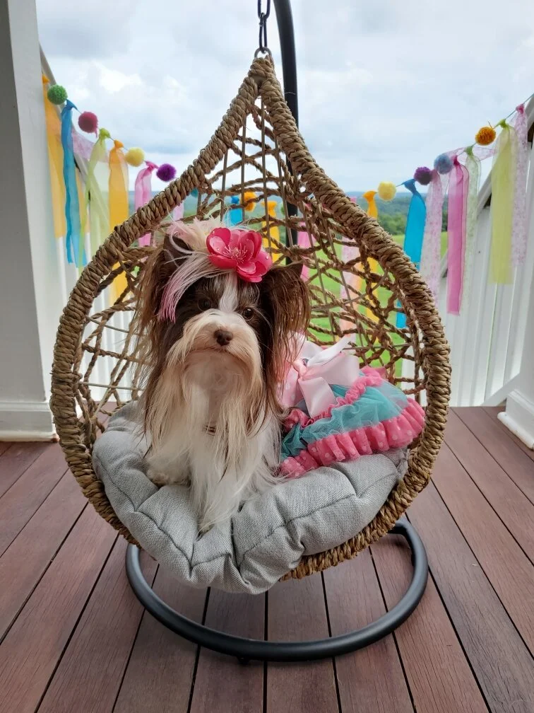 Resized_20200724_150747 (2).jpeg