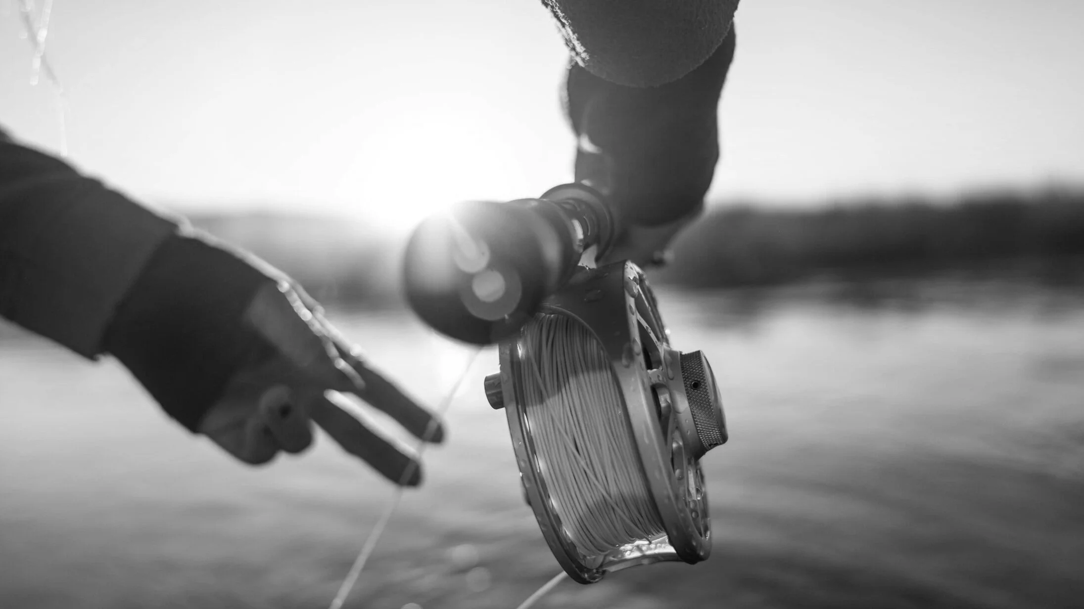 unsplash-image-v4oVgg5Vp5k.jpg