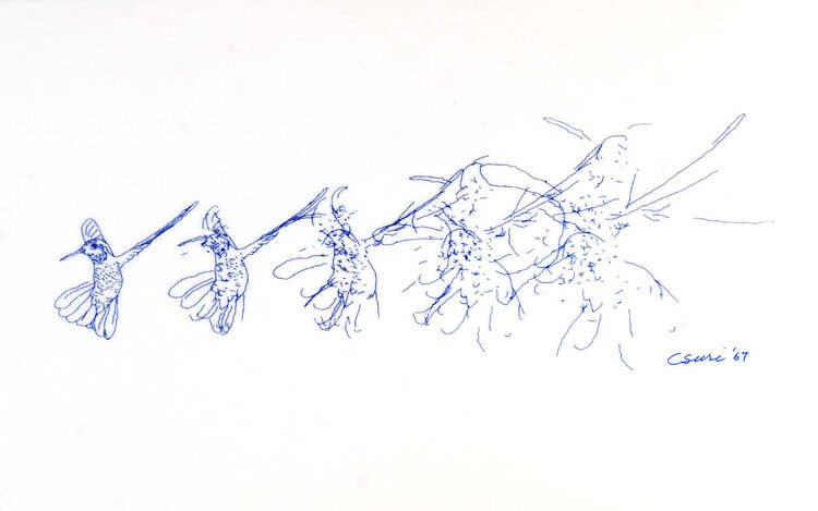 Hummingbird