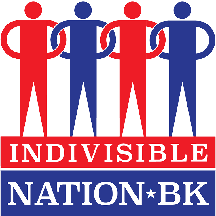 Indivisible Nation BK