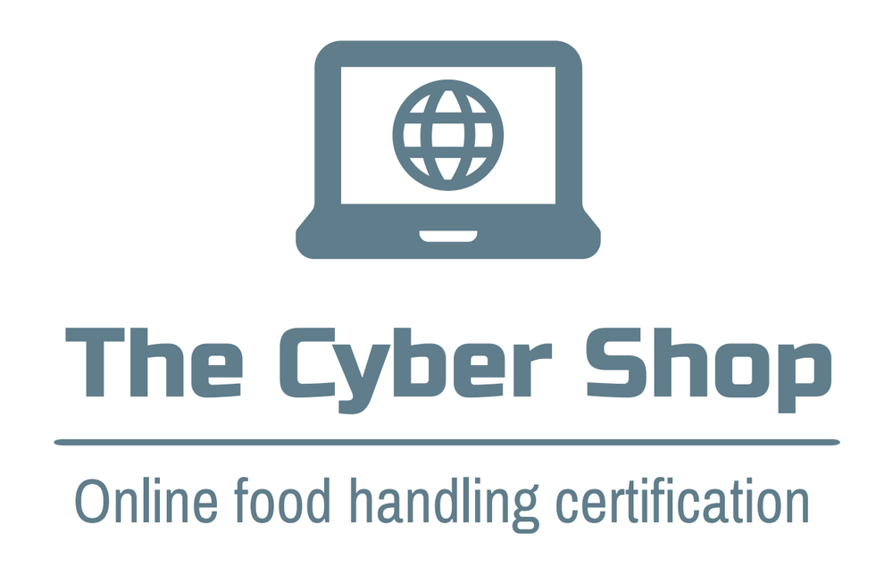 The Cyber Shop