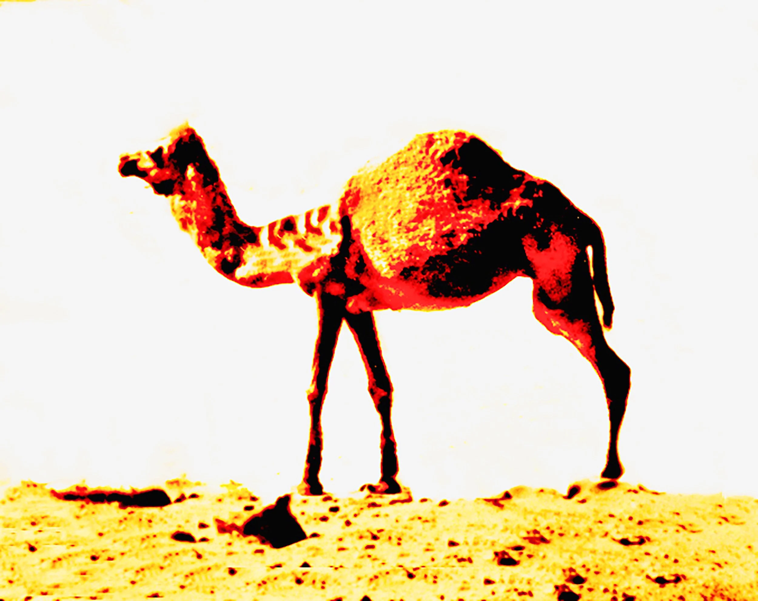 Ship of the Desert - Reimagined (1999/2025)