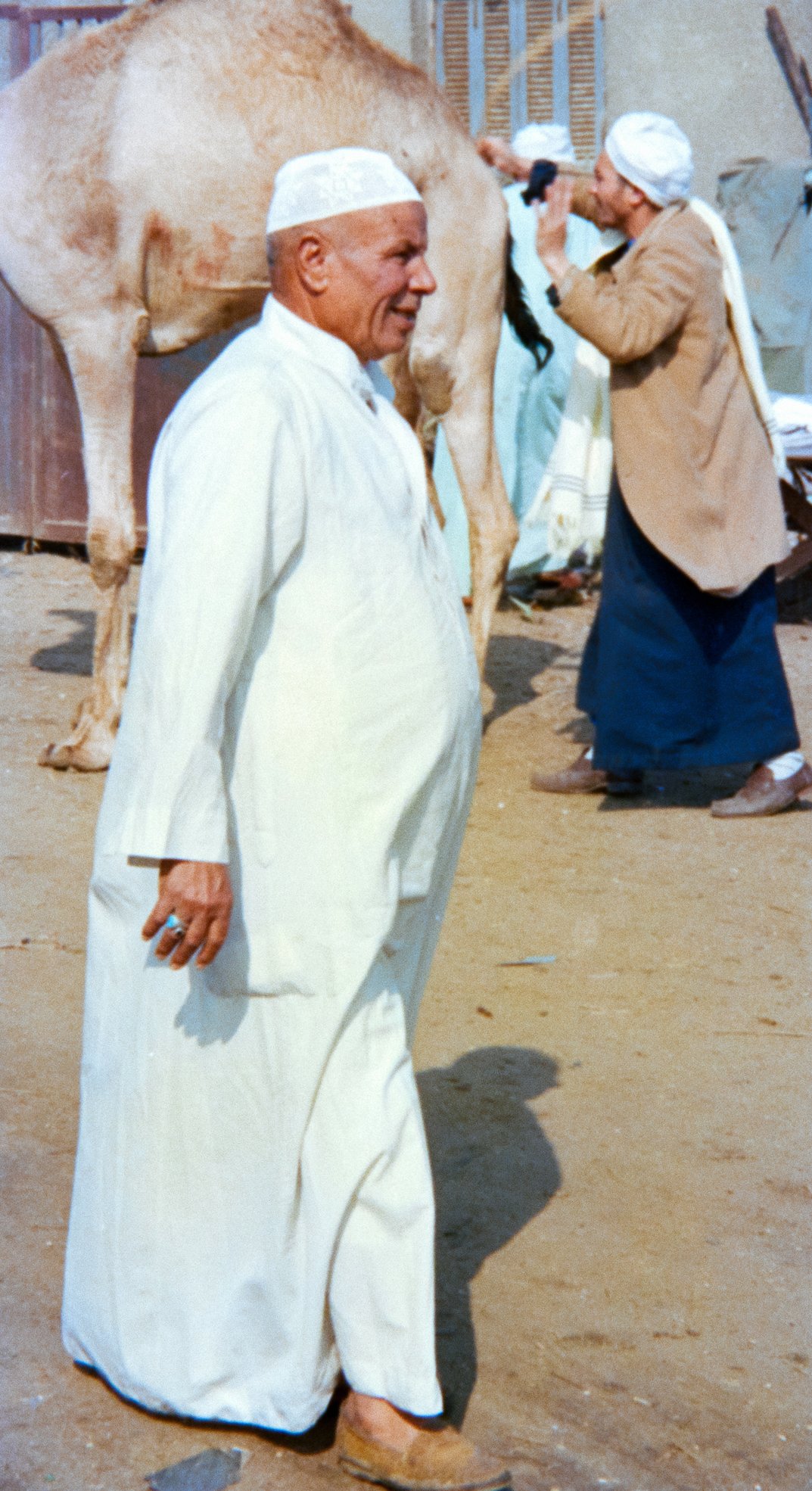 Head Man, Birqash Camel Market