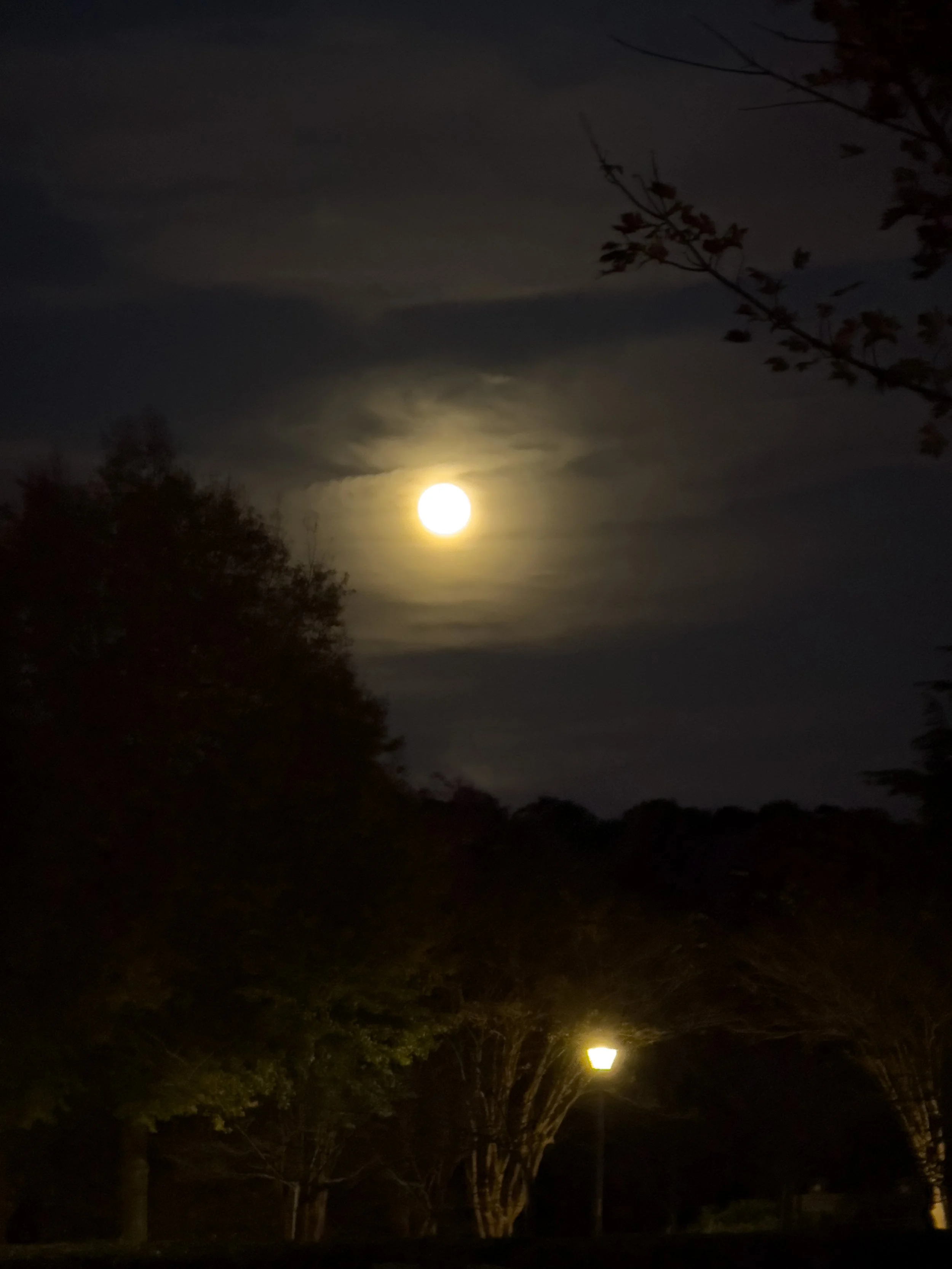 Cedars Supermoon