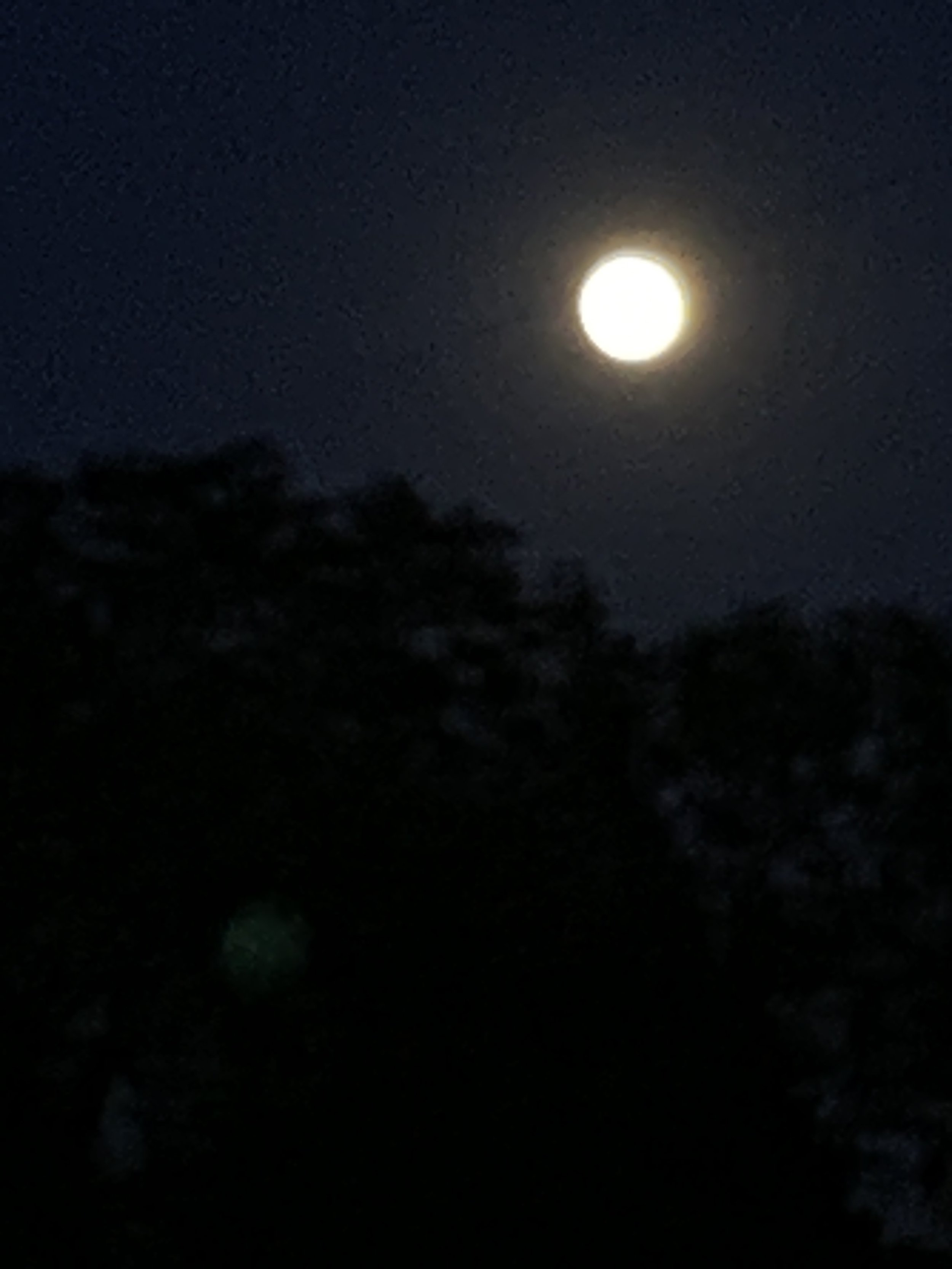 Strawberry Moon.  Chapel Hill, North Carolina.  June 2021