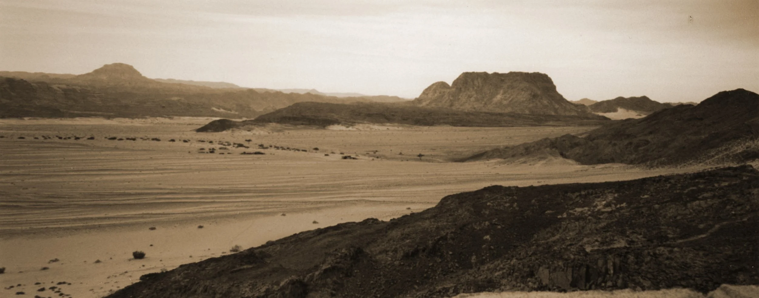 Sinai Desert