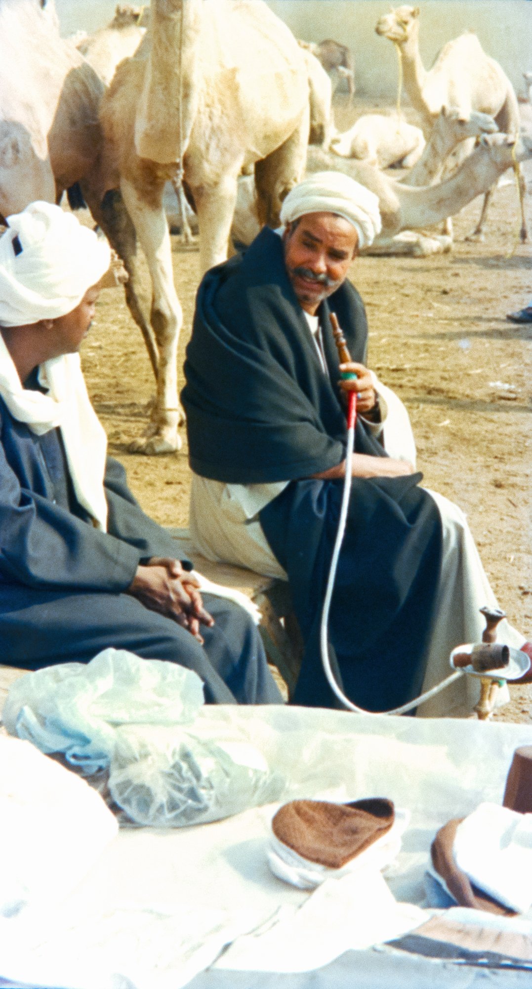 Resting, Birqash Camel Market
