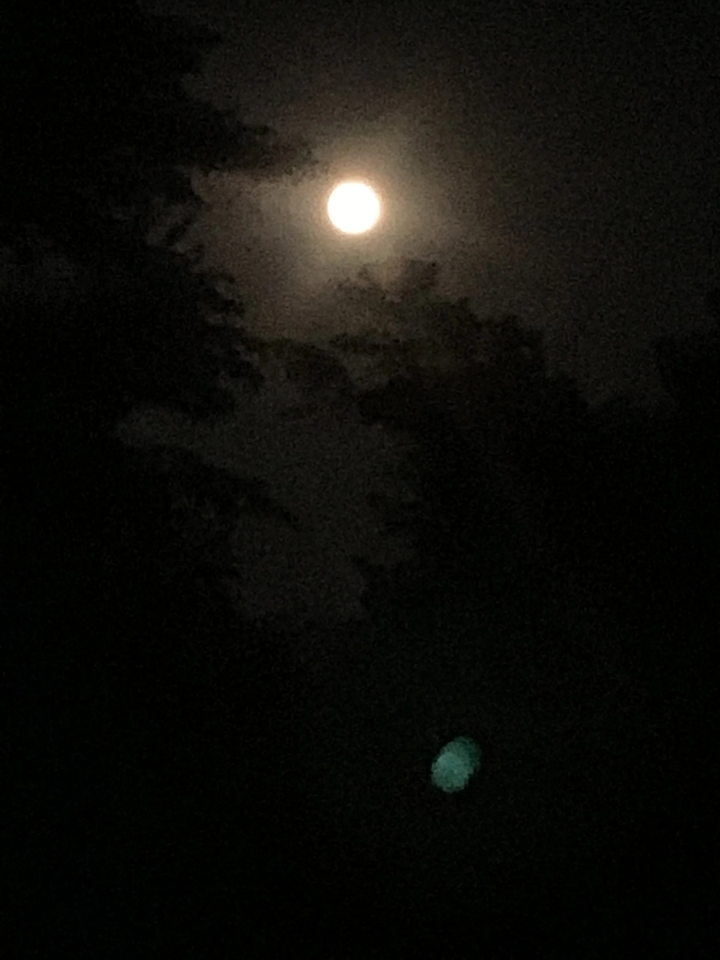 Strawberry Moon.  Chapel Hill, North Carolina.  June 2021