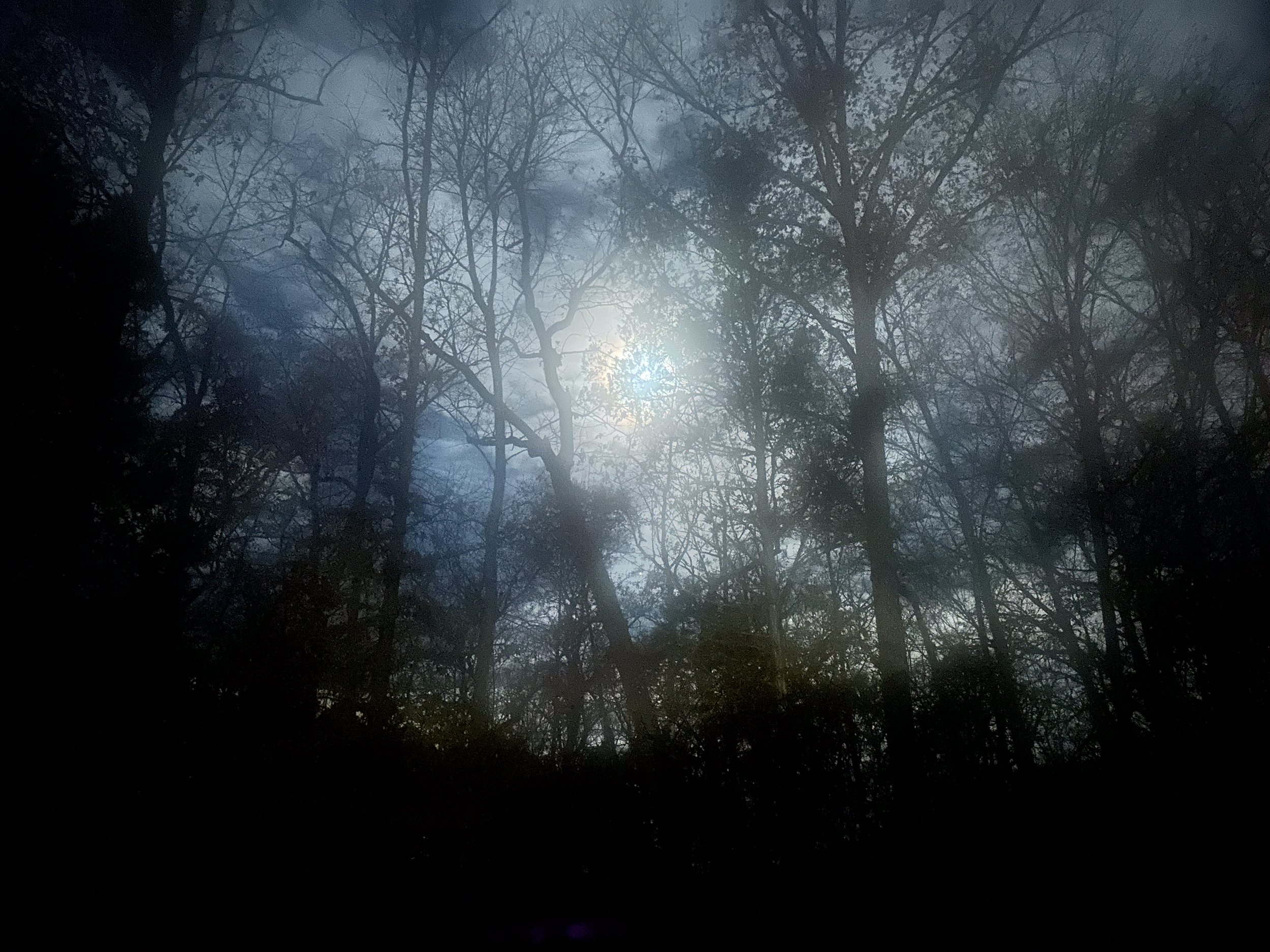 Foggy Moon, 2023