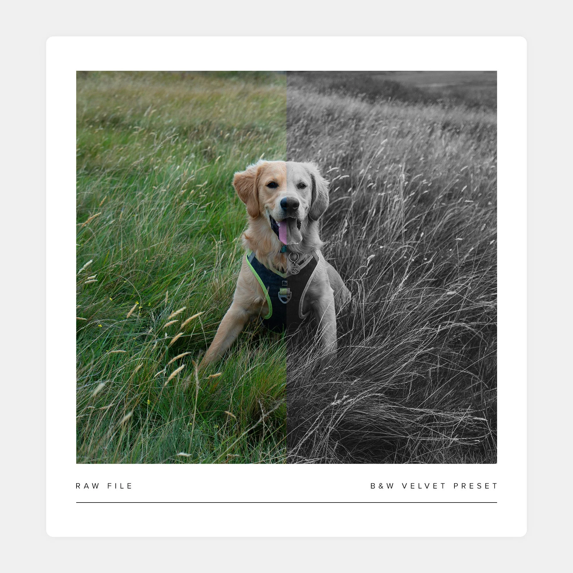 Premium_Lightroom_Presets_Core_Collection_12.jpg