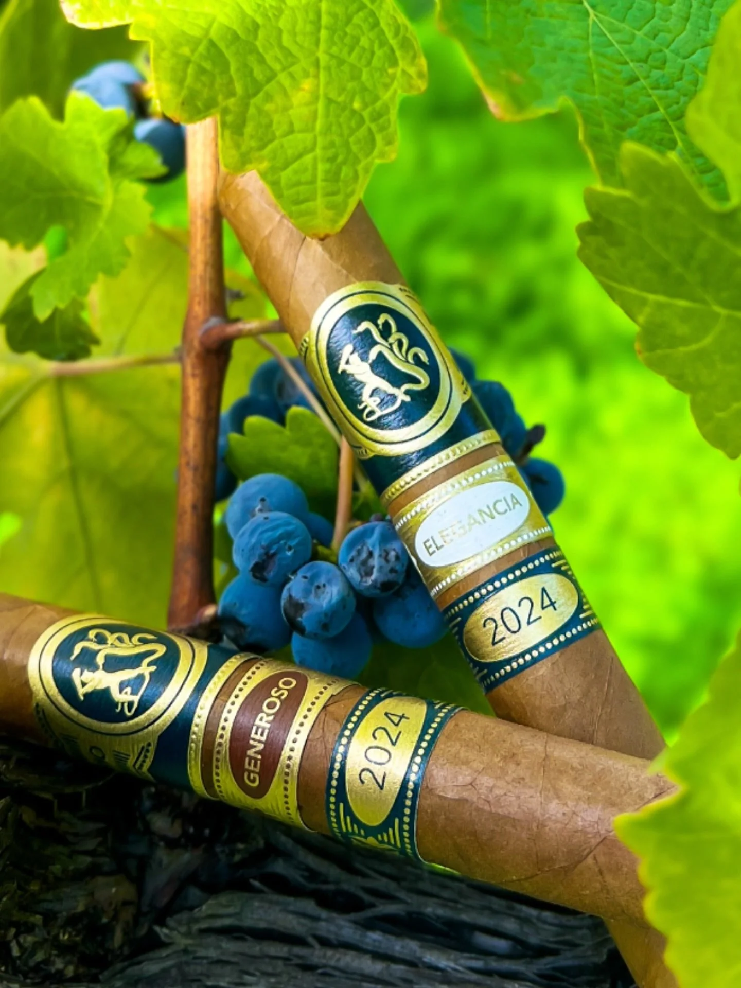 Since their debut in 2021, Ferio Tego Elegancia and Generoso have established themselves as the cornerstones of the Ferio Tego portfolio&mdash;each offering a unique expression, crafted with unwavering attention to detail.

Both blends are once agai