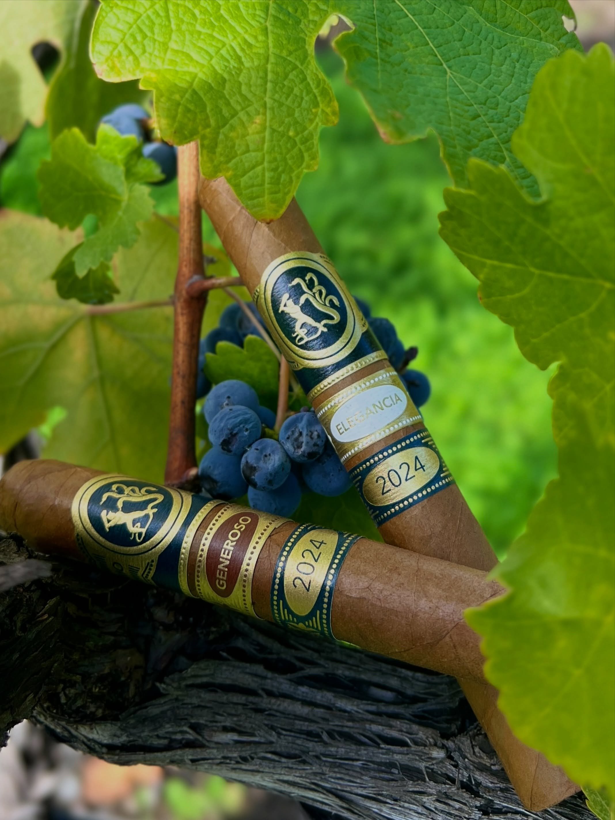 Much of Ferio Tego&rsquo;s inspiration comes from beyond the cigar industry, especially from winemakers, whose work reflects patience, intention, and a deep understanding of flavor and balance.

A winemaker&rsquo;s approach considers not only flavor,
