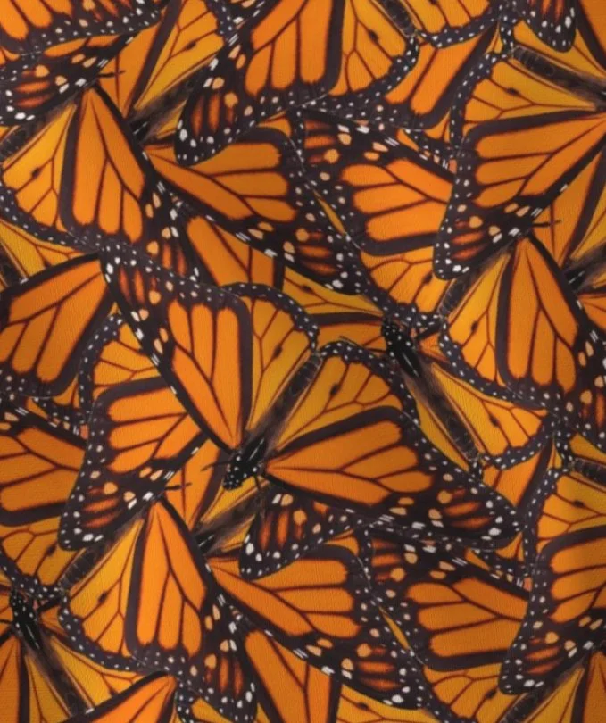 Monarch Wings