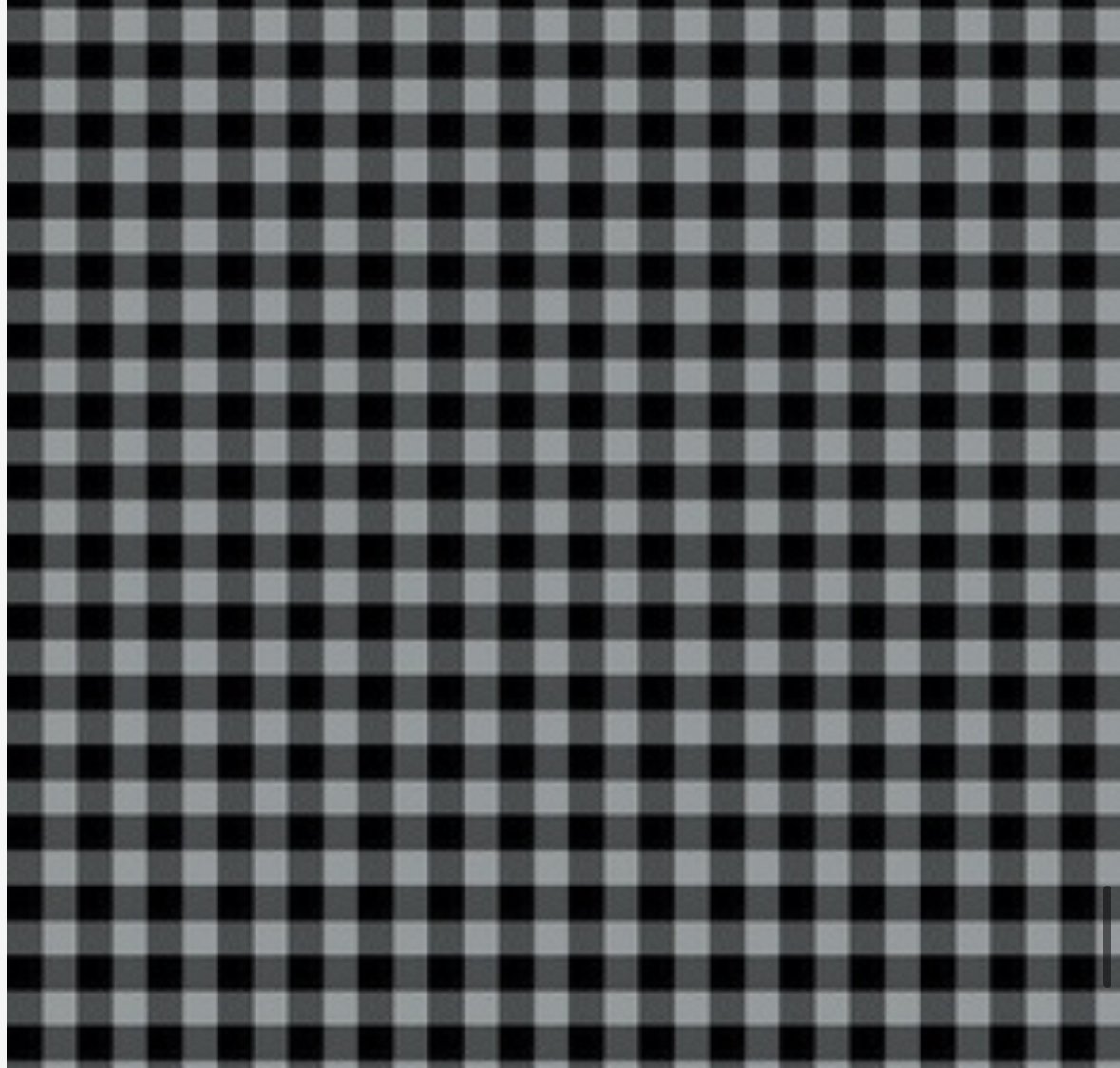 Buffalo Gray and Black Gingham