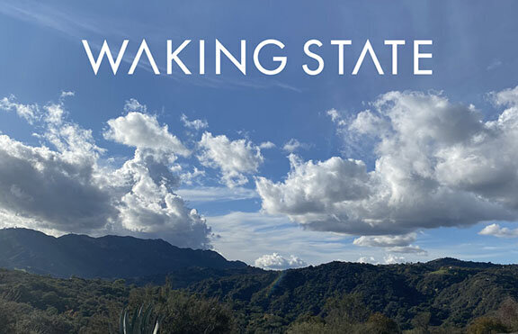 What is Waking State?