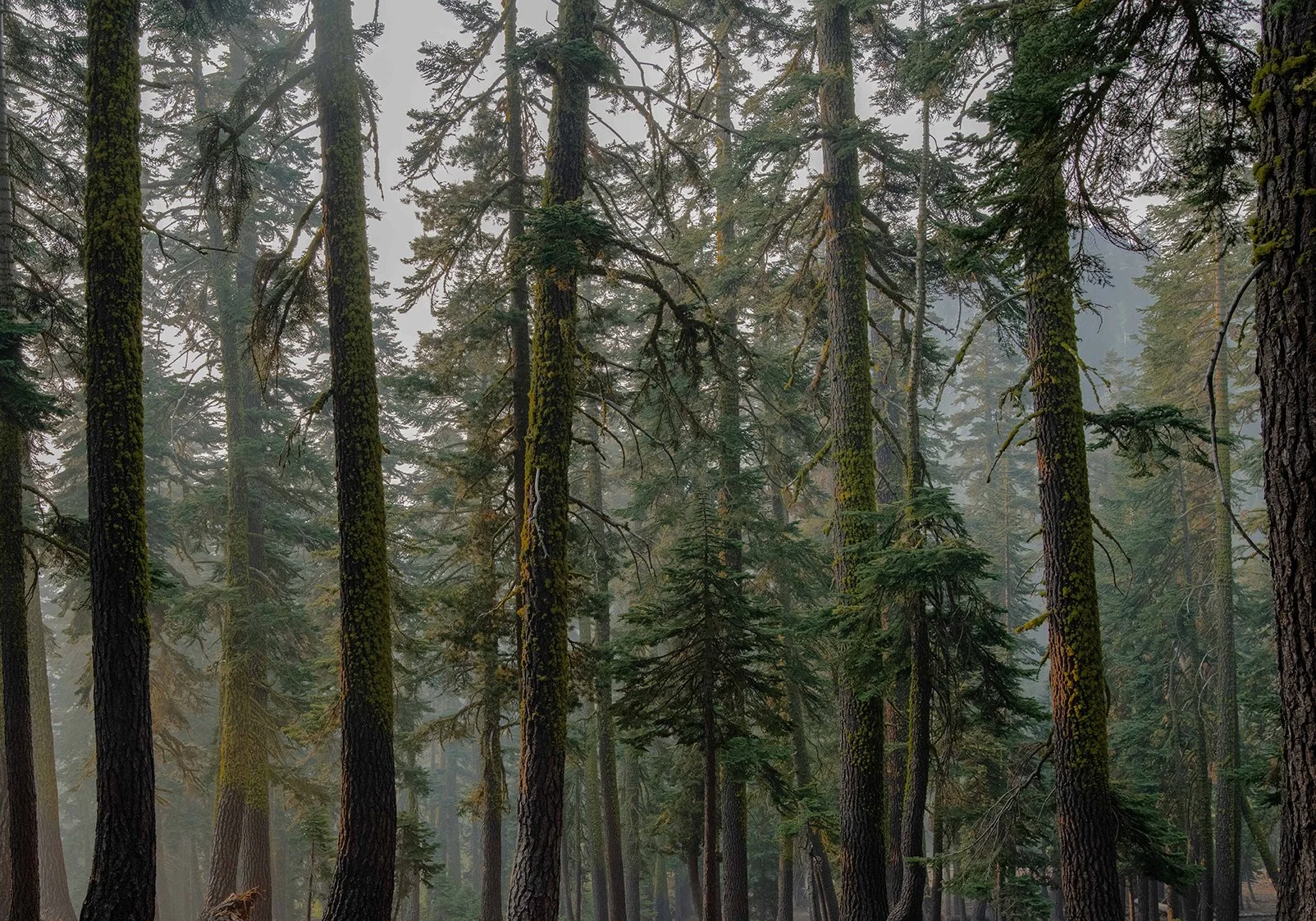 Desolation_Wilderness.jpg