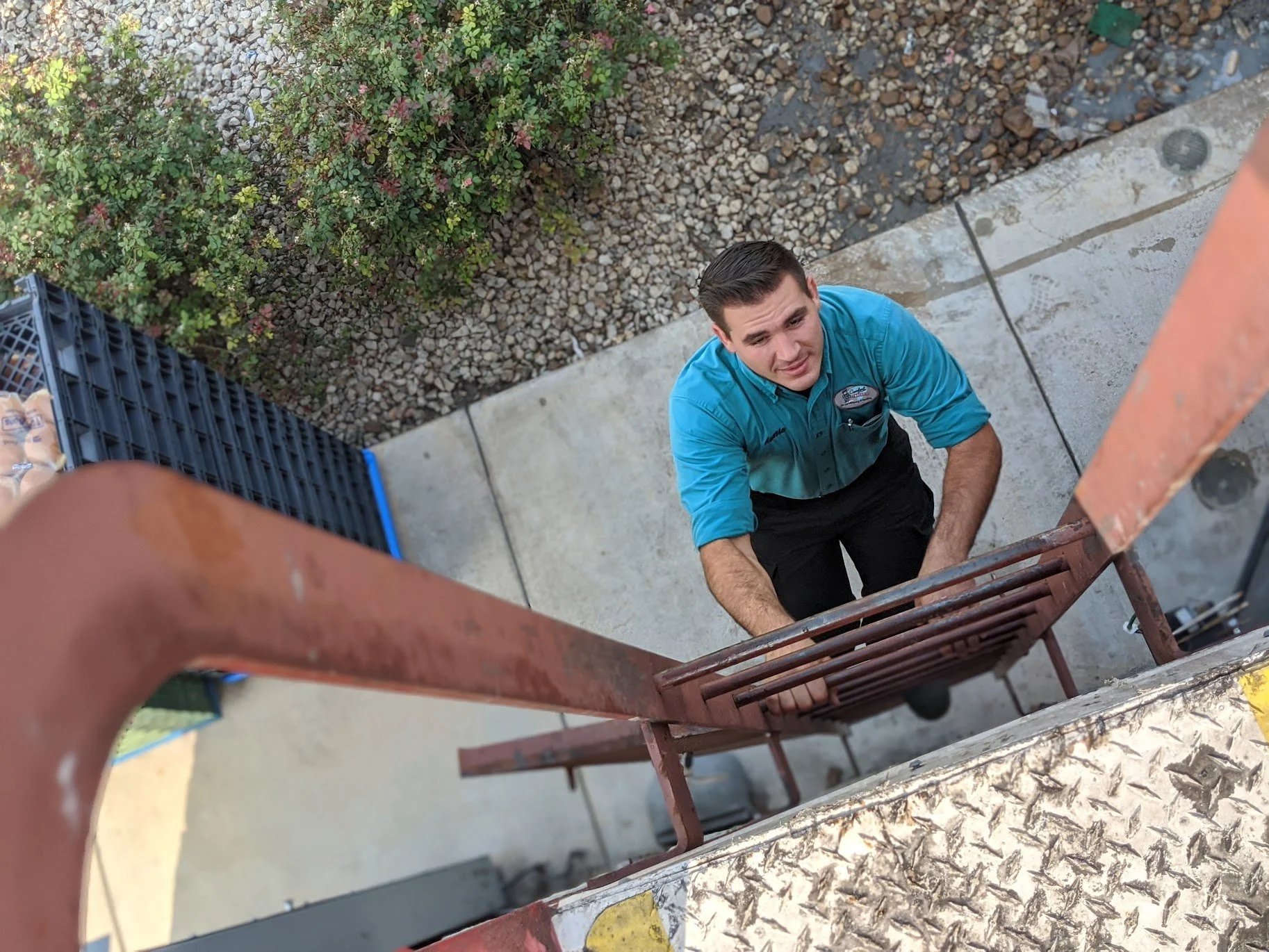 A man in a blue work shirt climbing a fire escape ladder, looking up and smiling, with a concrete ground and bushes in the background.