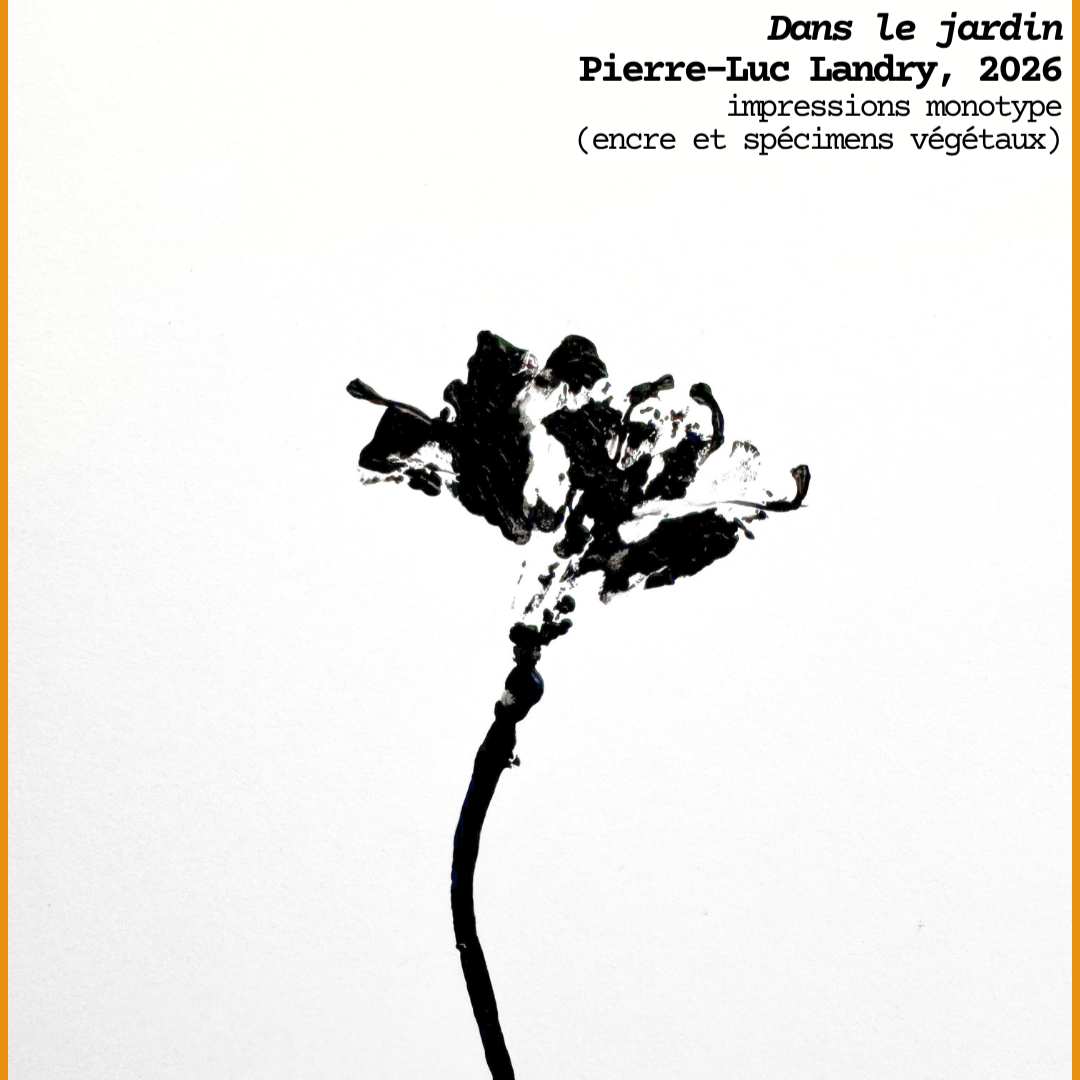 Dans le jardin