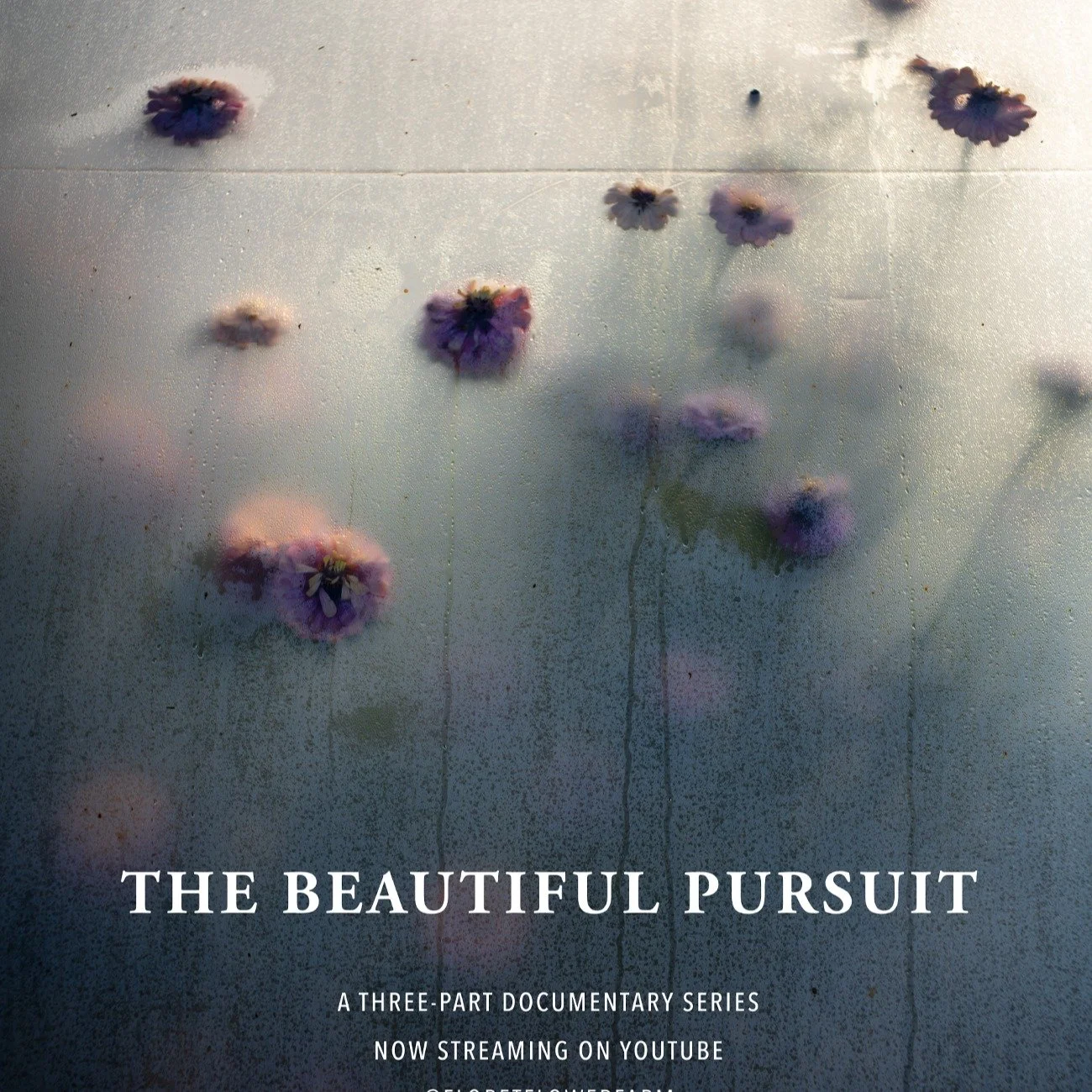 Dans « The beautiful pursuit » le dernier film produit par l’équipe de @floretflower il y a tout : la pluie, la grêle, le vent, les larmes, les souris, l’épuisement… Et puis il y a aussi to