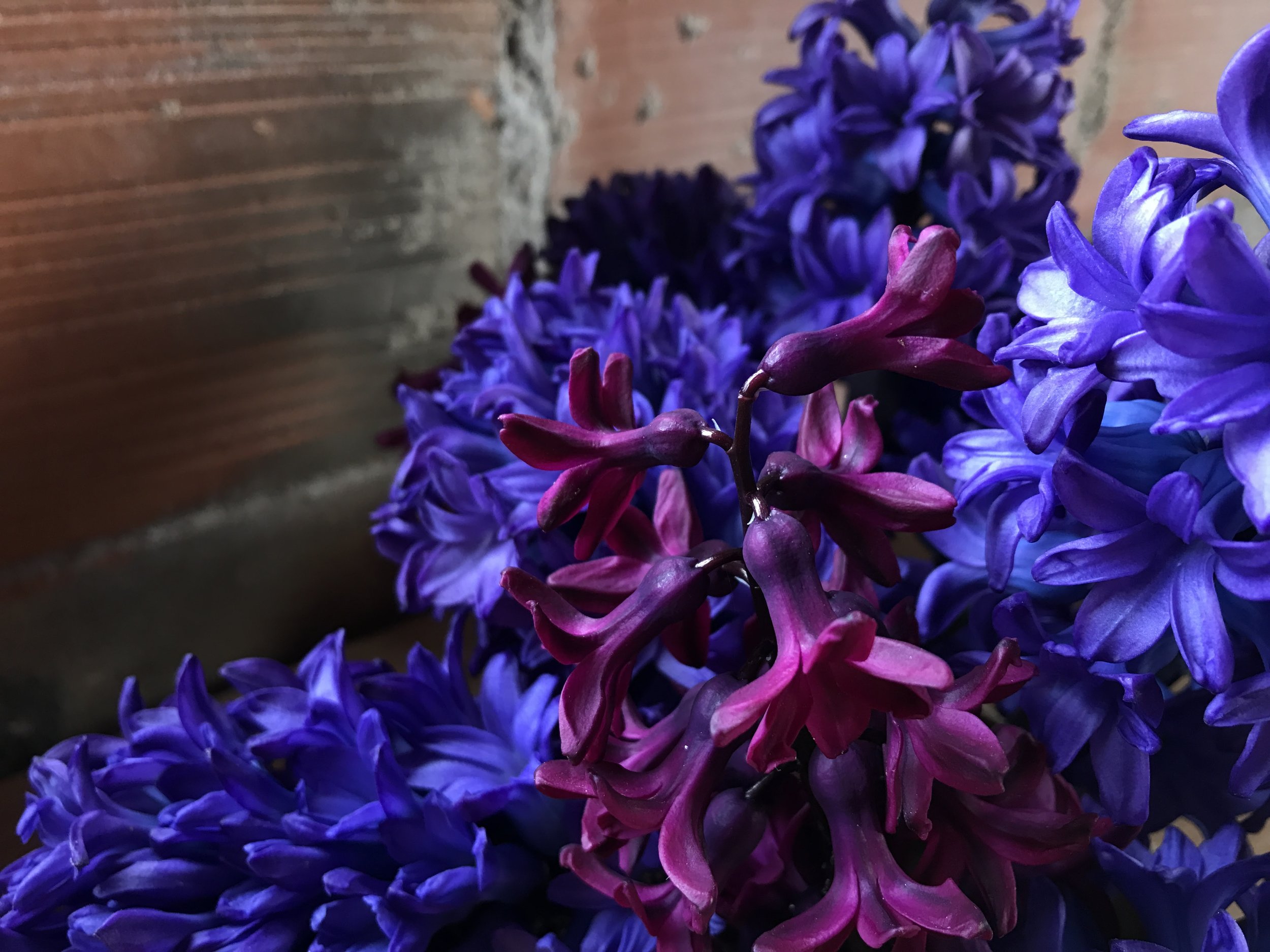 Miscellanées de saison - n°4.