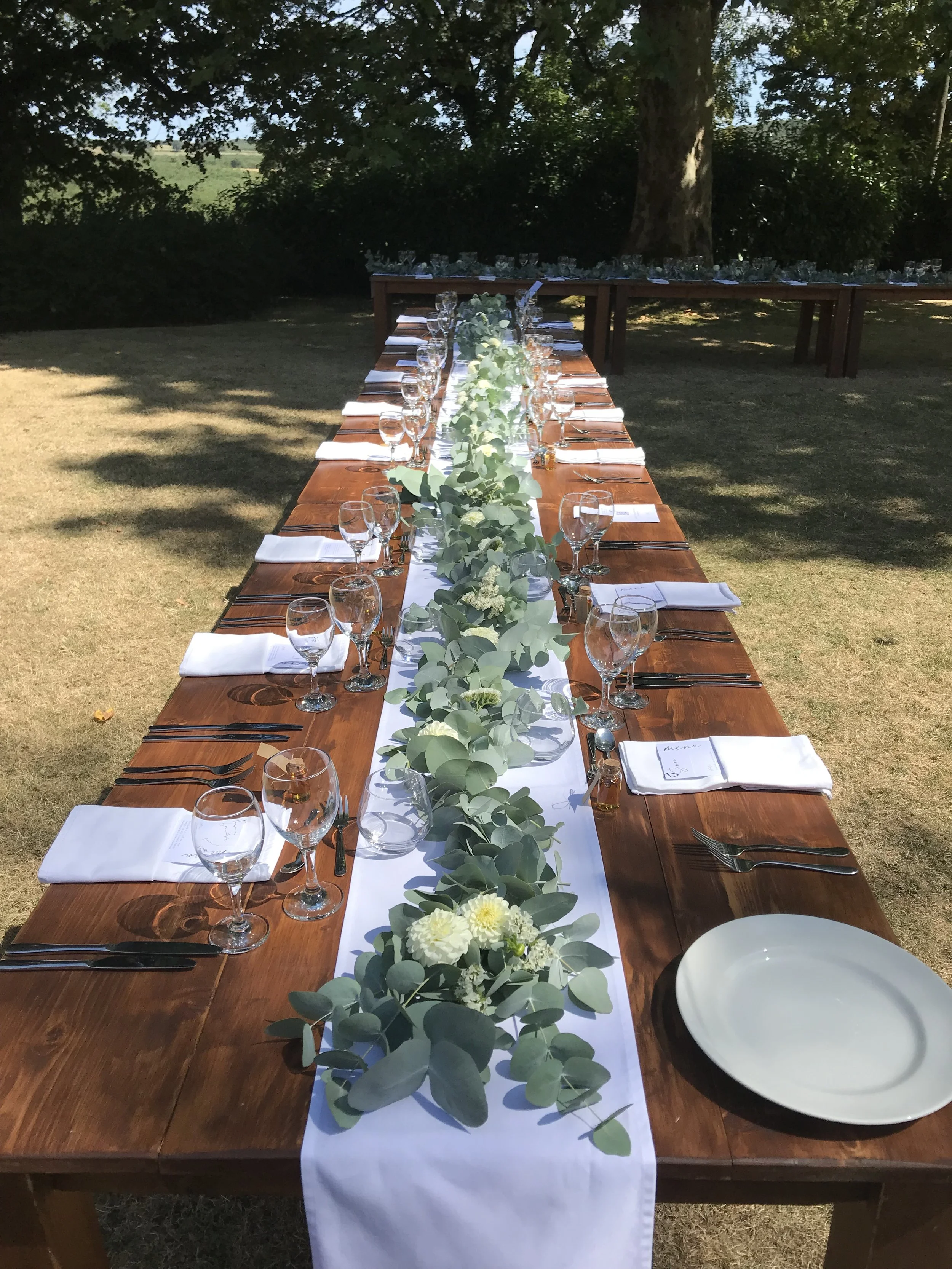 gardland euca chateau redon .JPG