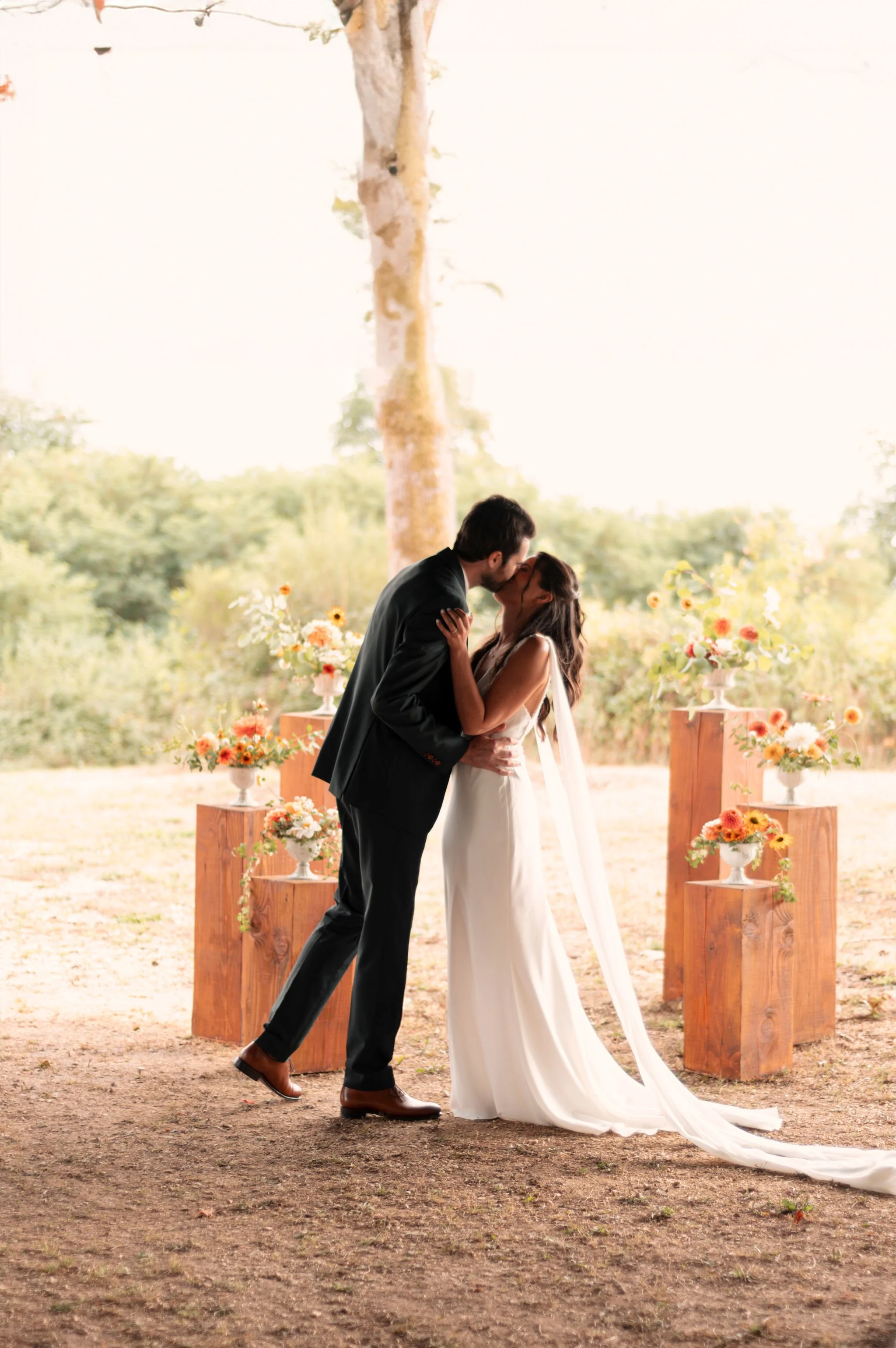 compositions backdrop (Photo Mopi Park)