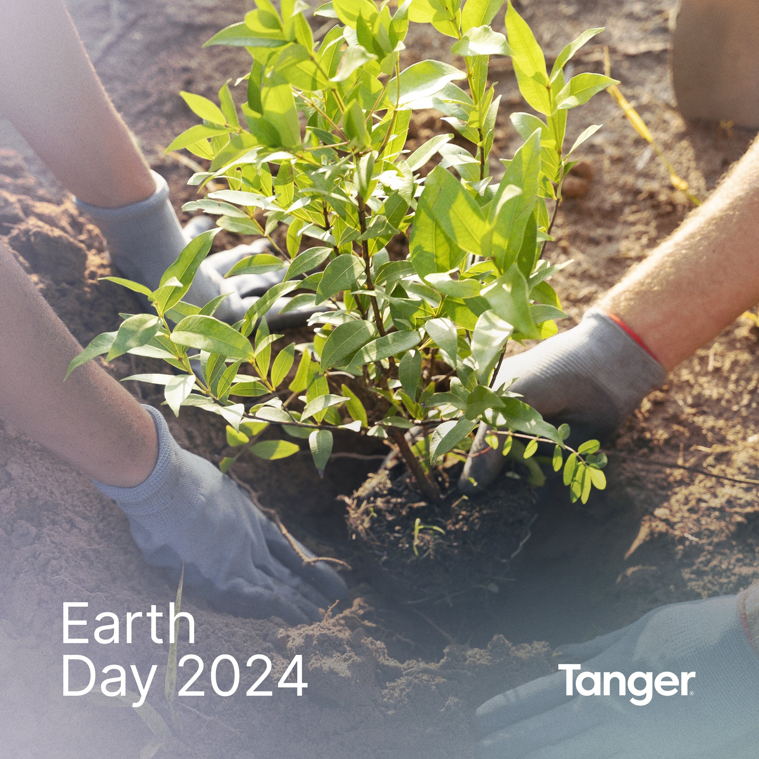 This #EarthDay, we&rsquo;re shining a spotlight on&nbsp;@tangeroutlets&nbsp;and their commitment to sustainability. 🌎 Teams at Tanger&nbsp;will be planting trees and partnering with local charities to help keep our planet green, and KWT is proud to 