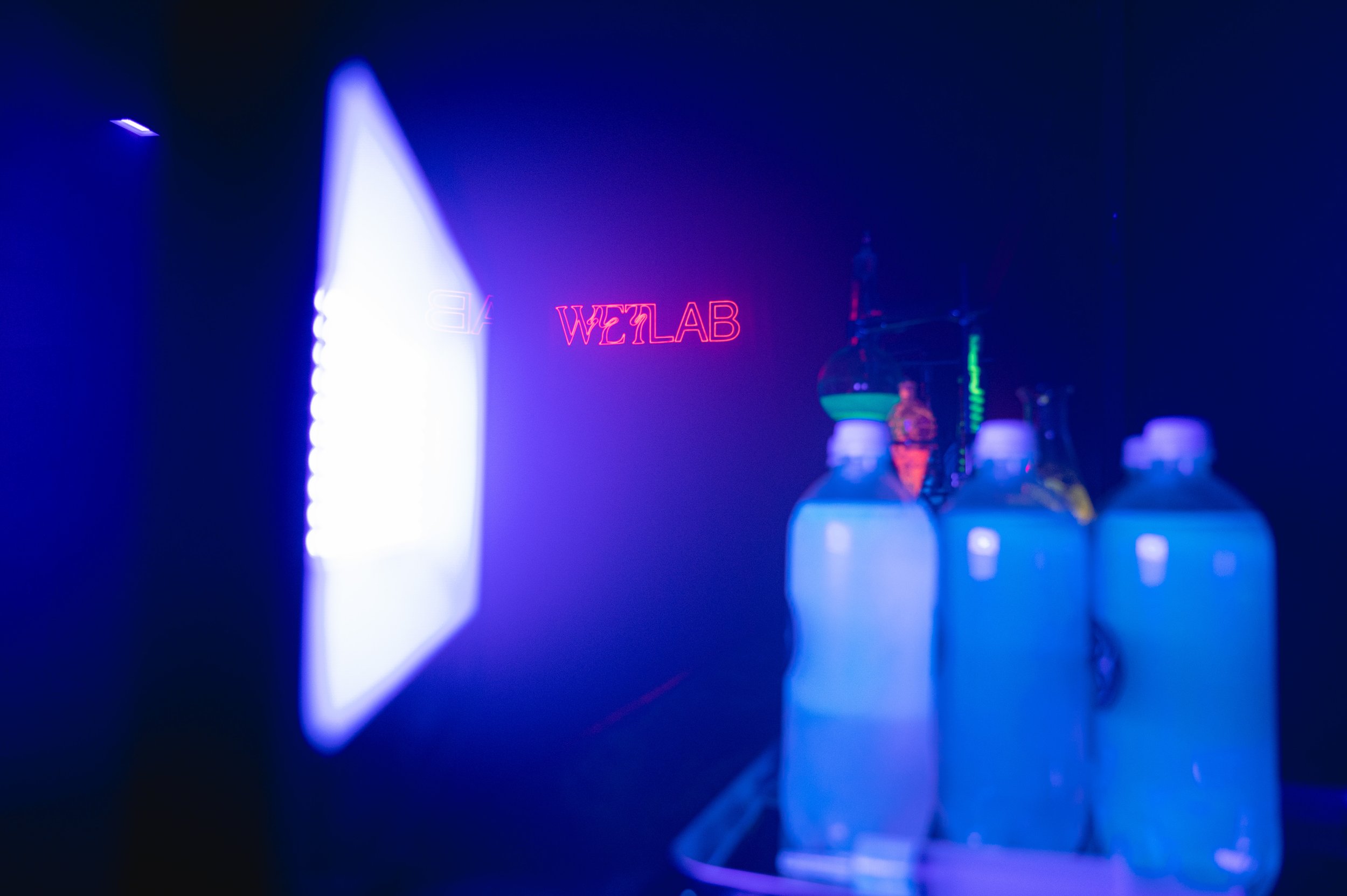 UMBRELLA_WETLAB_JUNE22_PHOTOBY@LARUFOTO_LUISRUIZ_0264.jpg