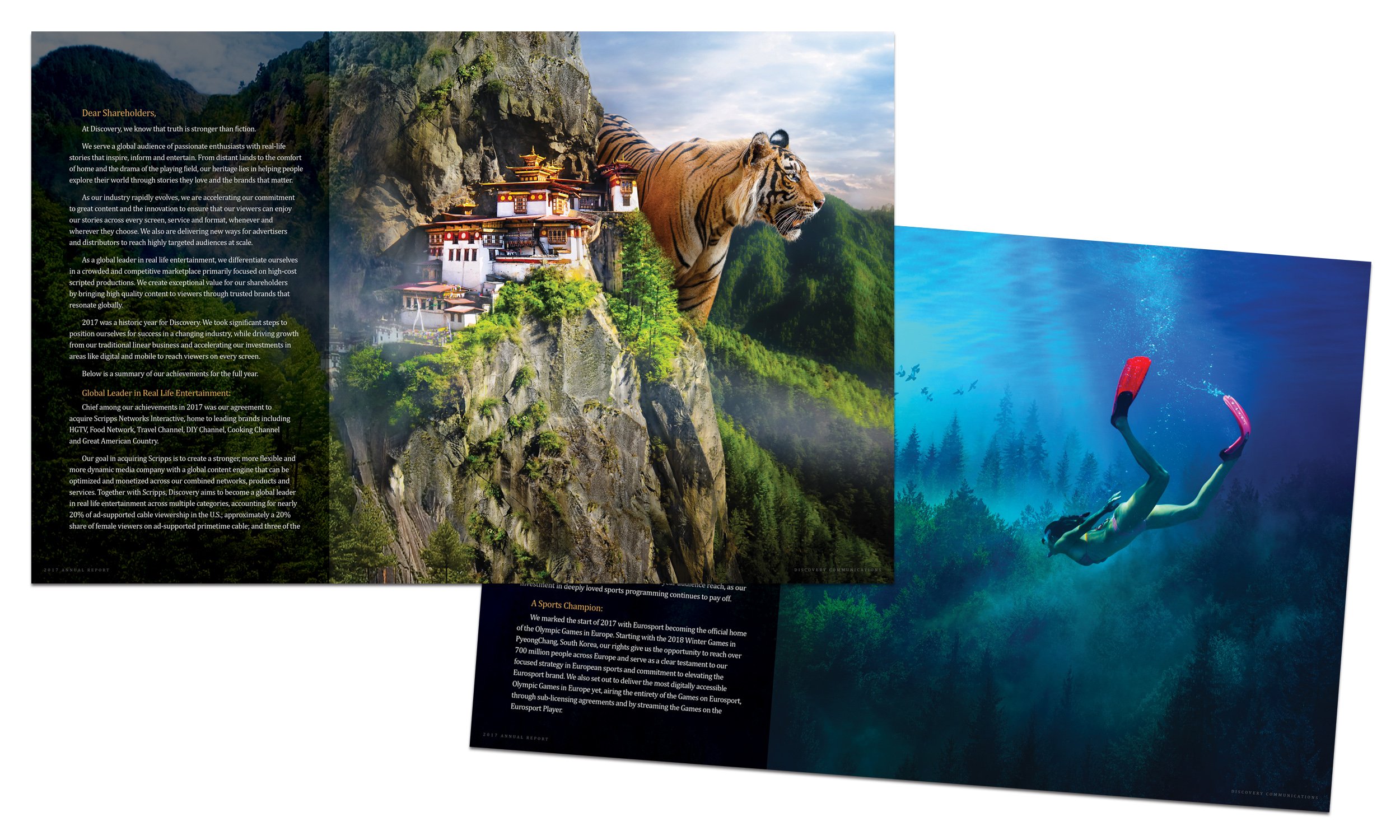 SQ_ANNR_TIGER DIVER_2500X1500@300.jpg