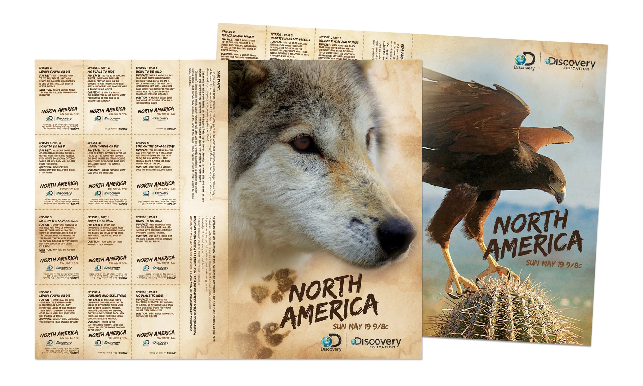 SQ_ED_NOR AM KIT_2500X1500@300_CVRS.jpg