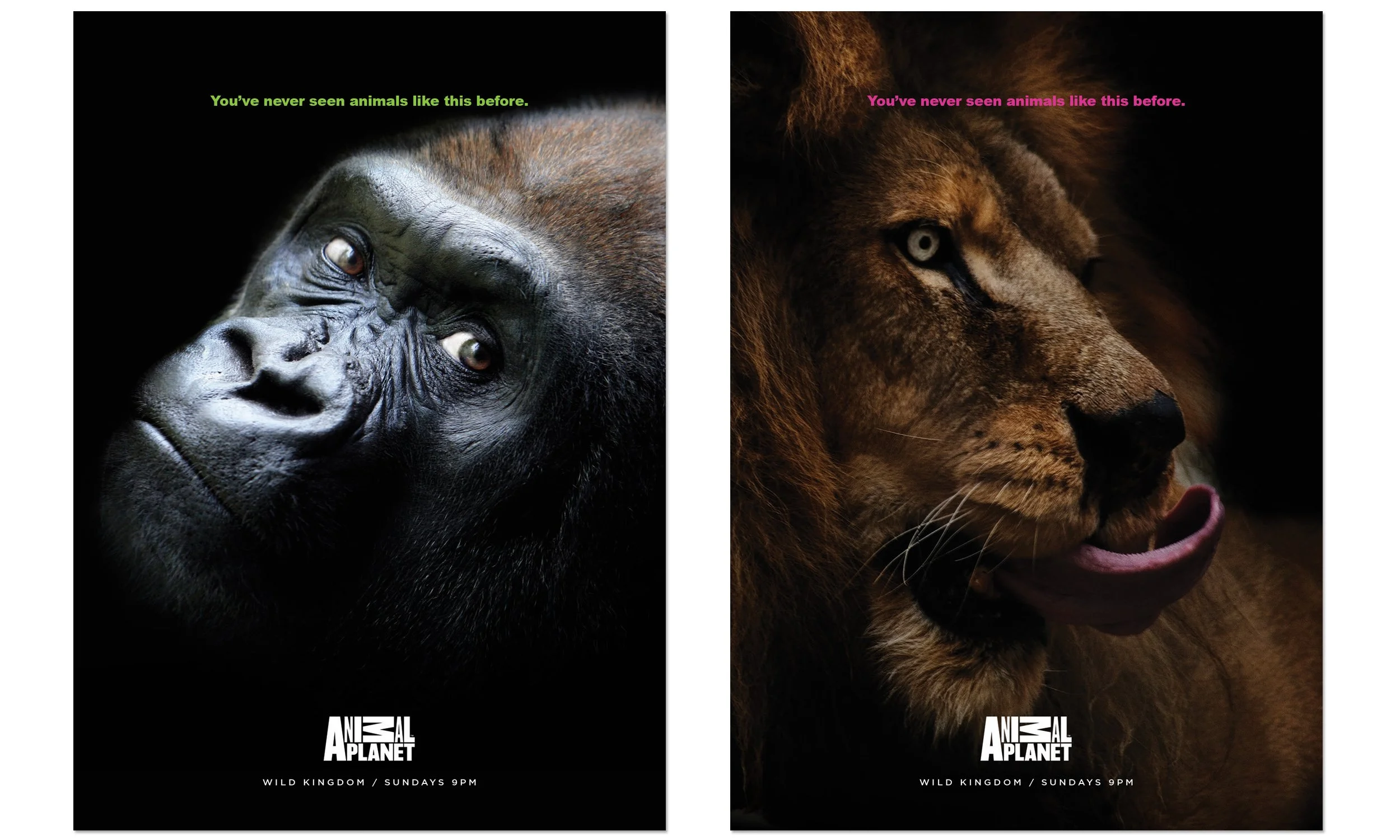 SQ_AP REBRAND_2500X1500@300 _L&G.jpg