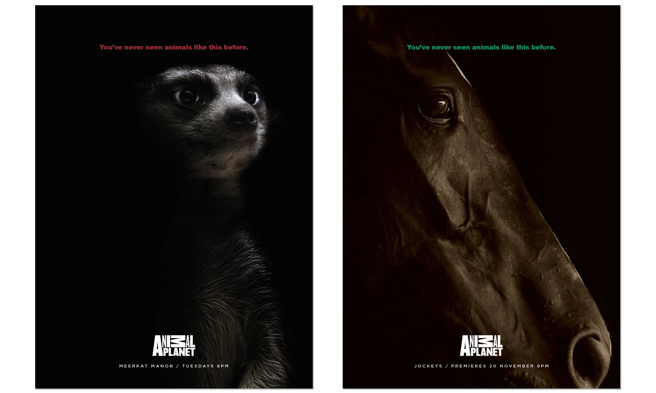 SQ_AP REBRAND_2500X1500@300_M&H.jpg