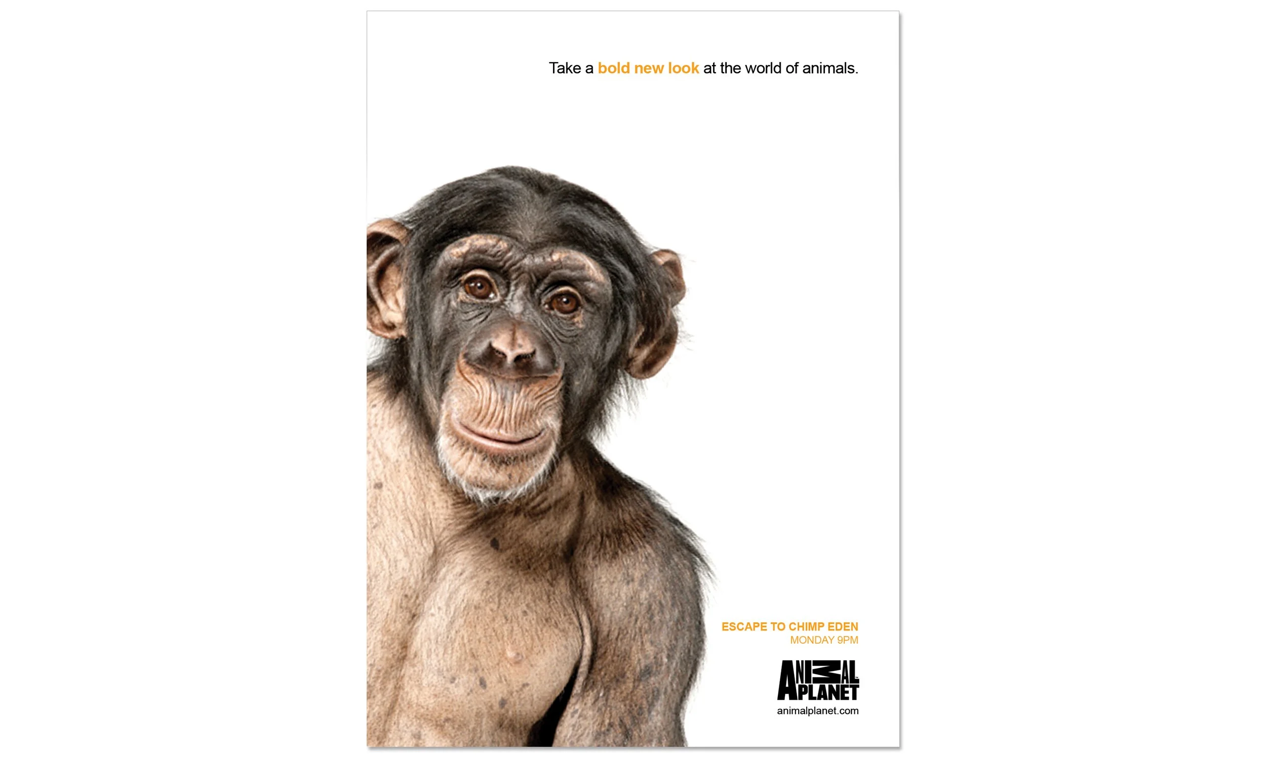 SQ_AP REBRAND_2500X1500@300_MONKEY.jpg