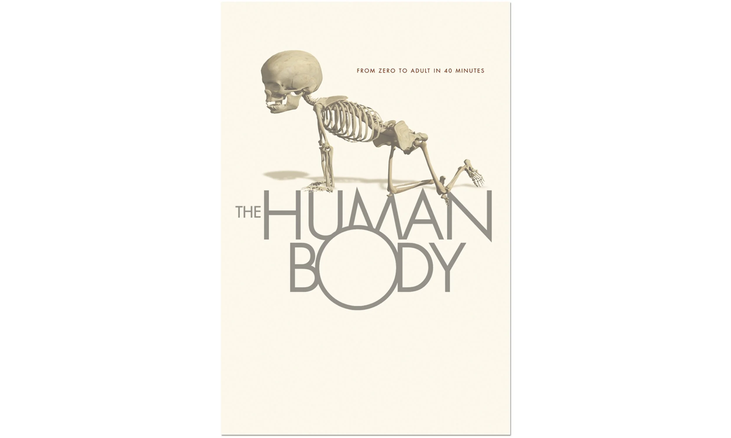 SQ_HUMAN BODY_2500 X 1200@300_SKEL ONLY.jpg