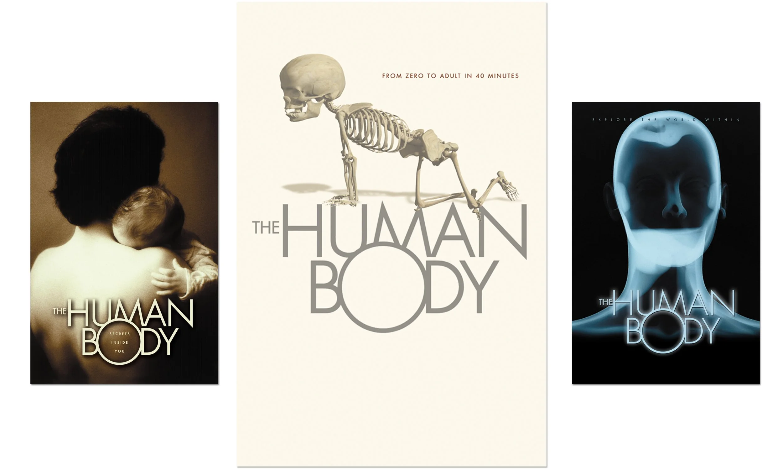 SQ_HUMAN BODY_2500 X 1200@300_GRP 2.jpg
