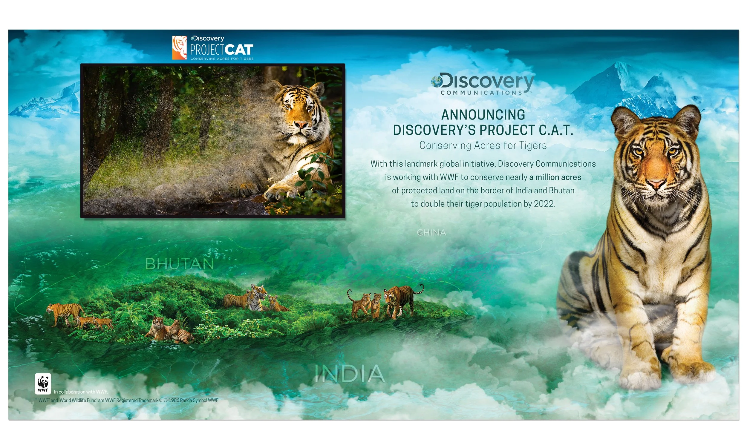 VF_TIGER DREAM_2500 X 1200@300_GRN RM.jpg