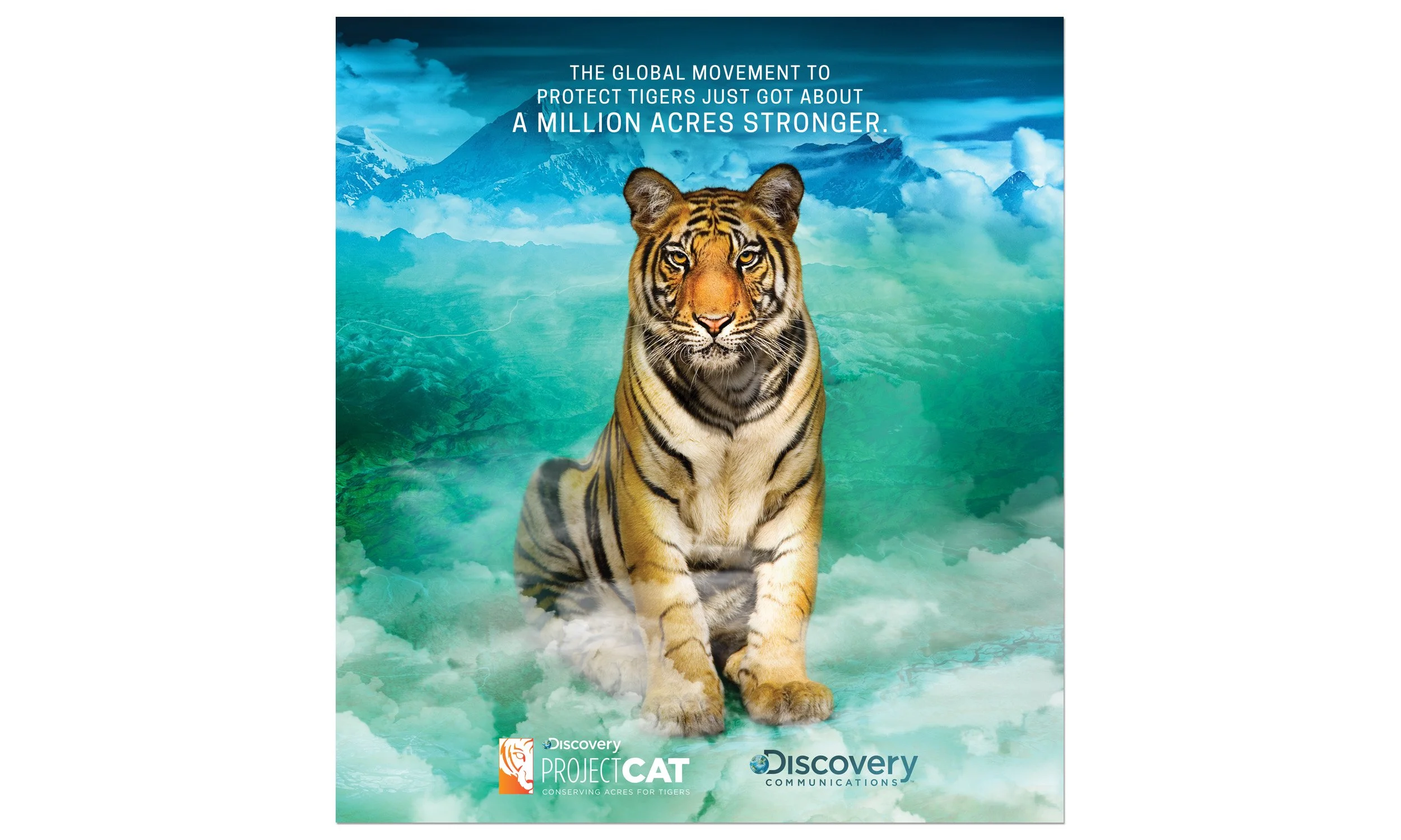 VF_TIGER DREAM_2500 X 1200@300_WEB ART.jpg