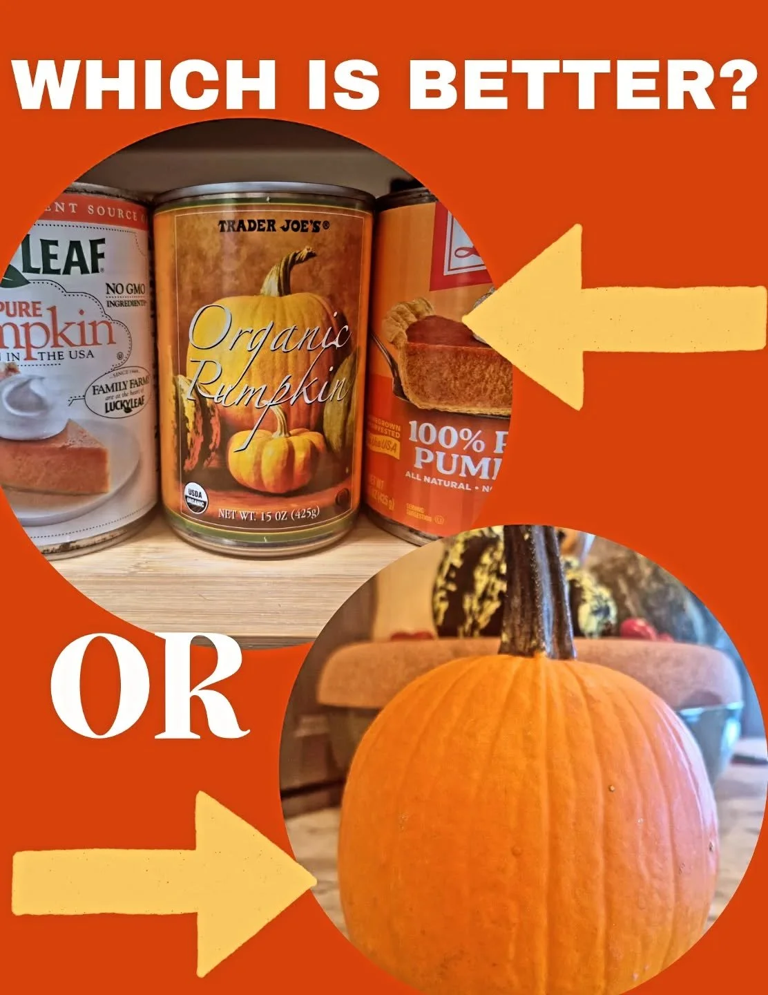 Every fall, people ask me the same question &mdash; should you bake with canned pumpkin or fresh pumpkin? 

Here&rsquo;s the scoop:
🥫 Canned pumpkin is the go-to for convenience and consistency, and the better choice for baking. It&rsquo;s made from