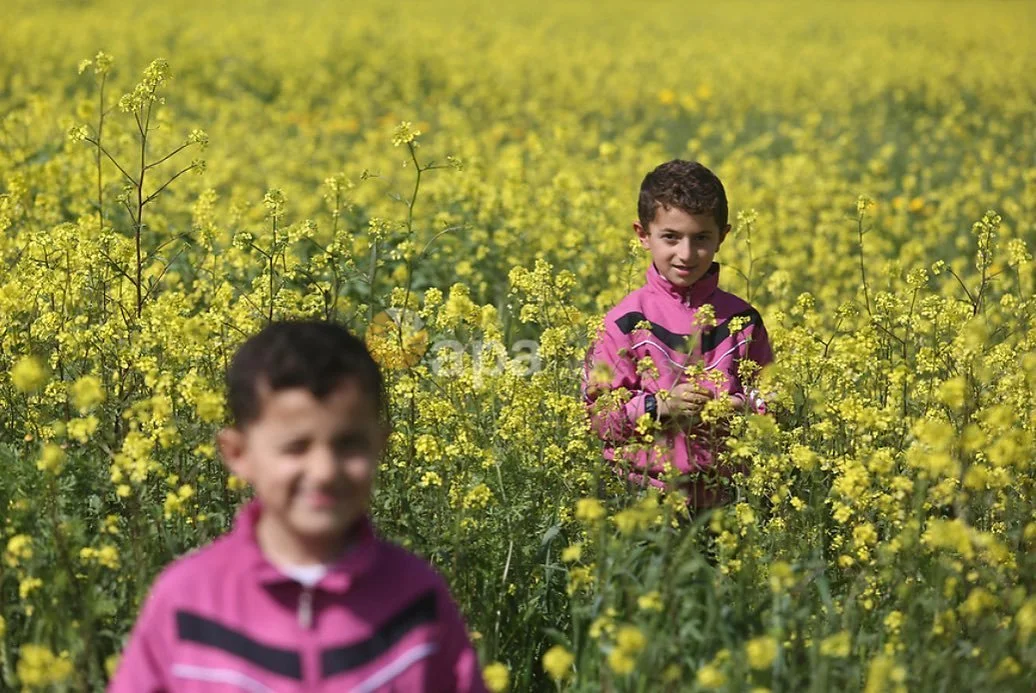 &ldquo;Enough for Me&rdquo;
Enough for me to die on her earth
be buried in her
to melt and vanish into her soil
then sprout forth as a flower
played with by a child from my country.
Enough for me to remain
in my country&rsquo;s embrace
to be in her c