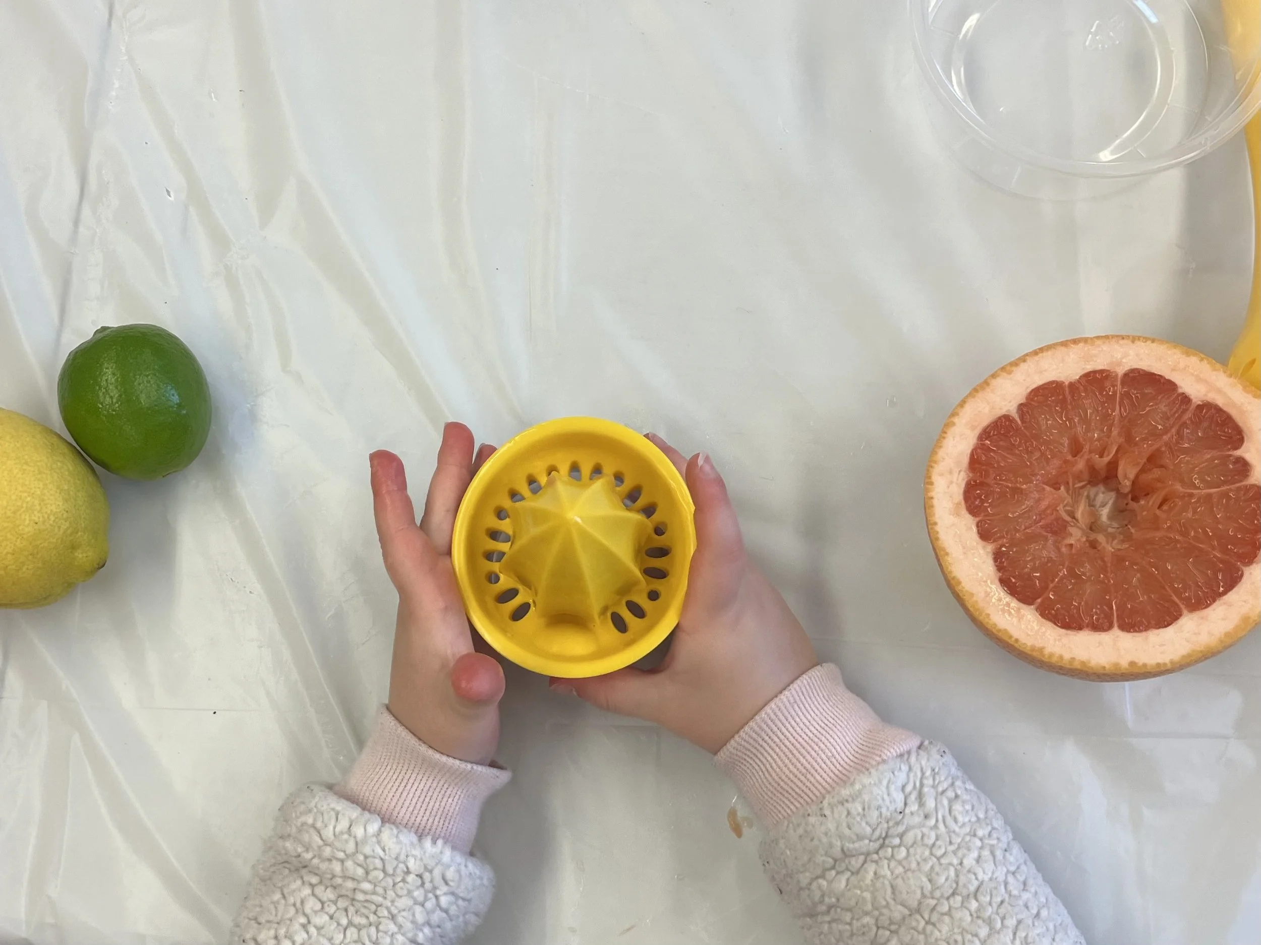Super Food Explorers