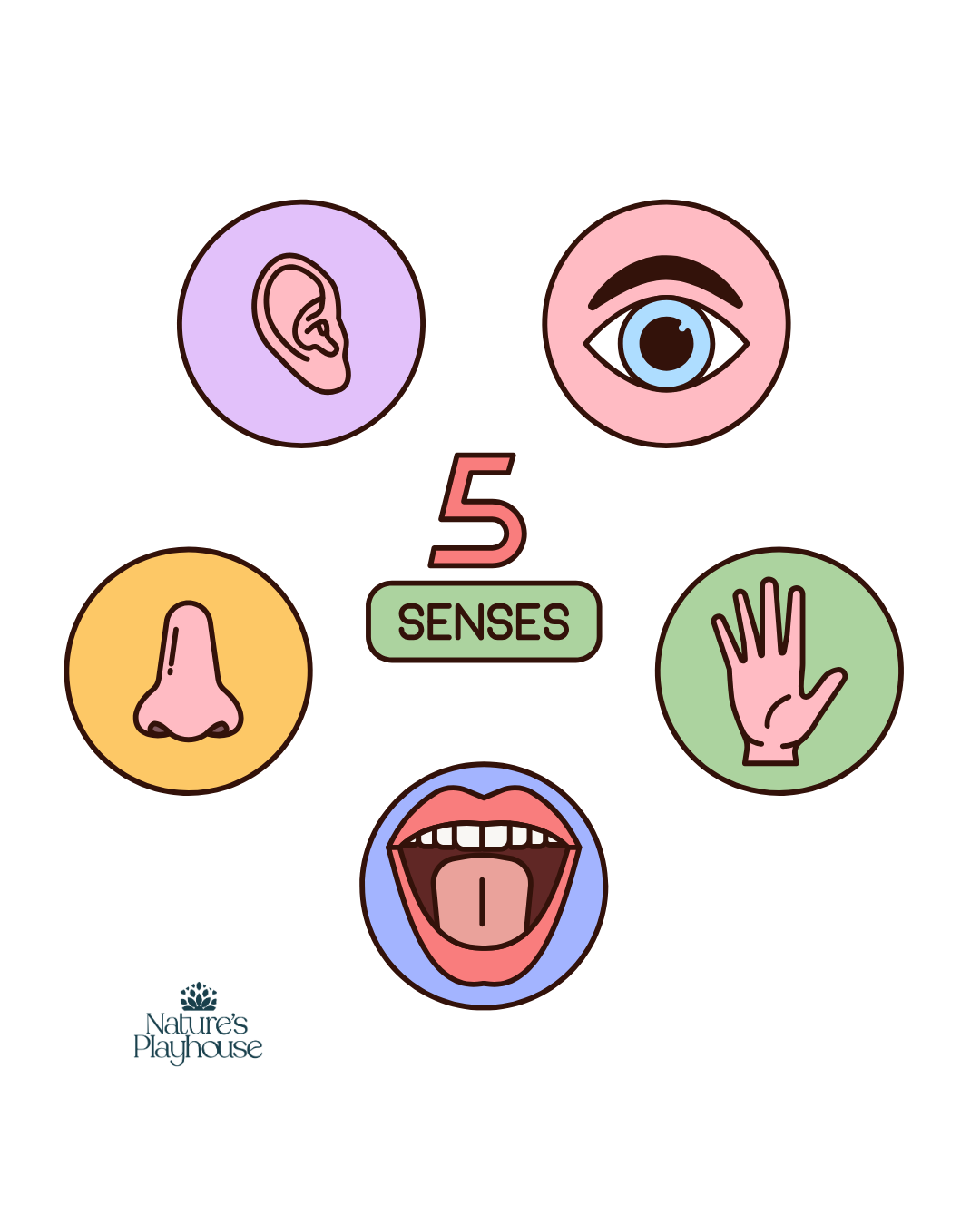 5-Senses Workshop