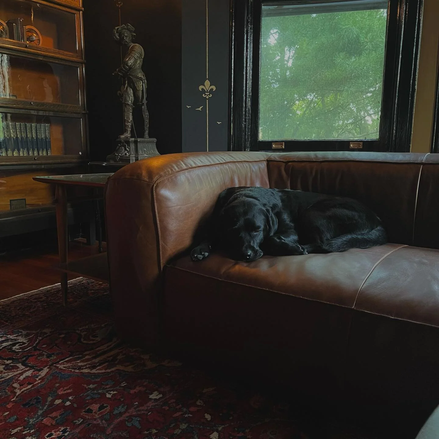 Where else would I ever want to be on a Friday night?